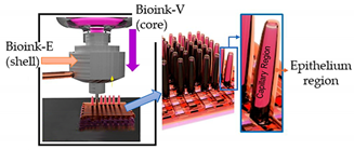 Sensors 21 03304 i021 Sensors 21 03304 i021