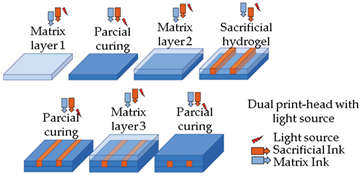 Sensors 21 03304 i027 Sensors 21 03304 i027