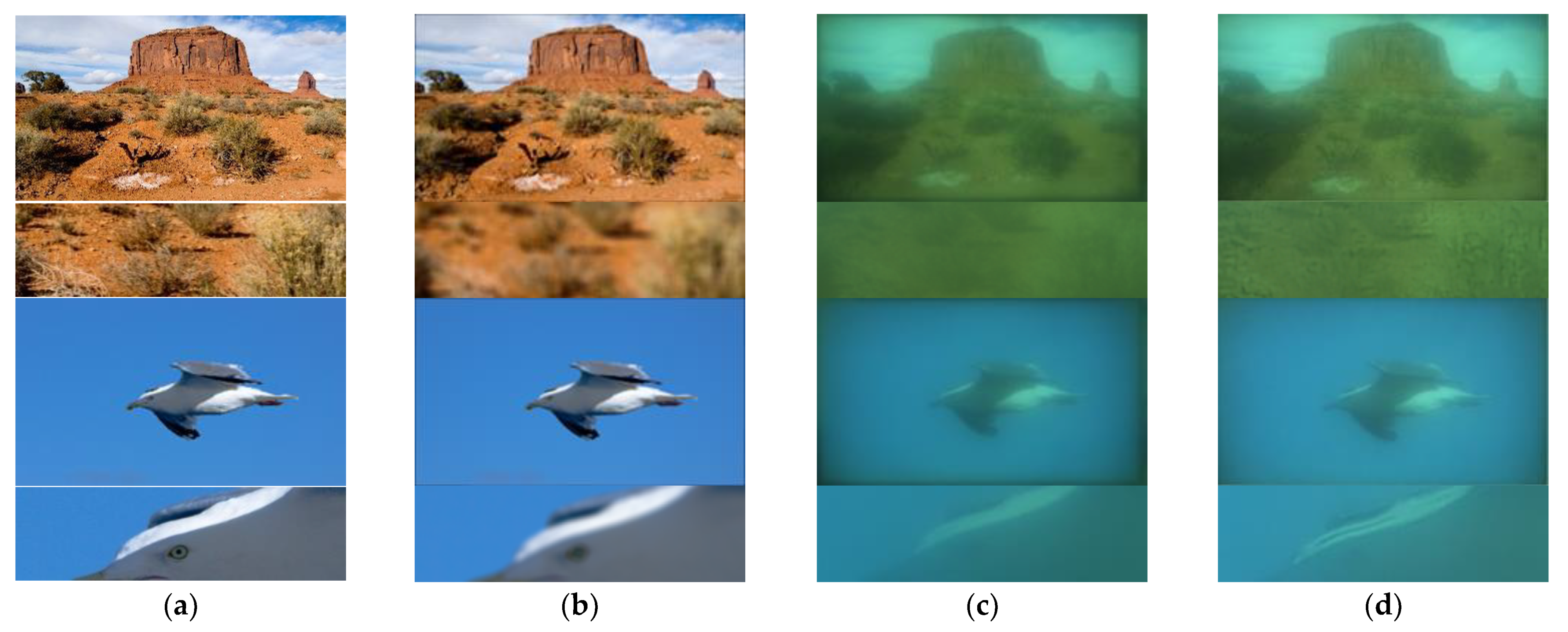 Sensors 21 03317 g007 Sensors 21 03317 g007