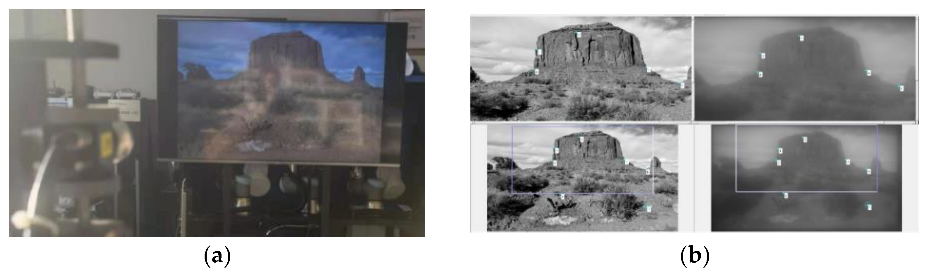 Sensors 21 03317 g008 Sensors 21 03317 g008