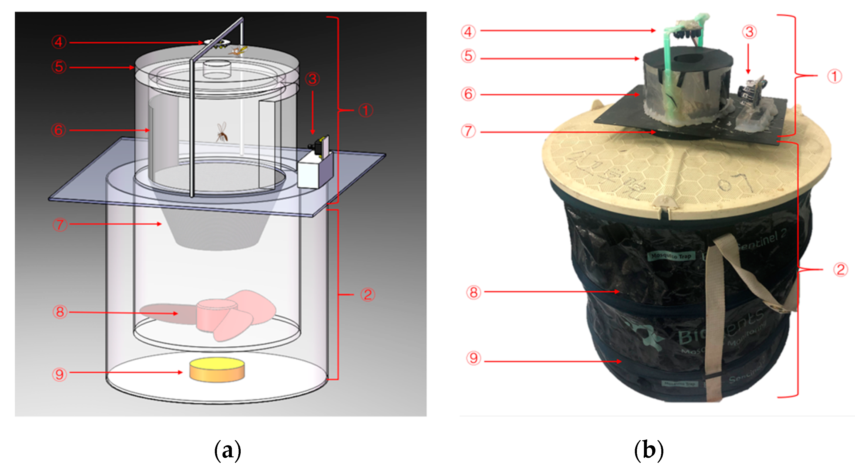 Sensors 21 03329 g001 Sensors 21 03329 g001