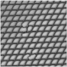Sensors 21 03339 i006