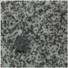 Sensors 21 03339 i018