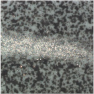 Sensors 21 03339 i020