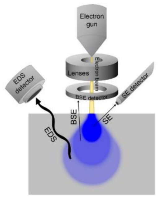 Sensors 21 03340 g005 Sensors 21 03340 g005