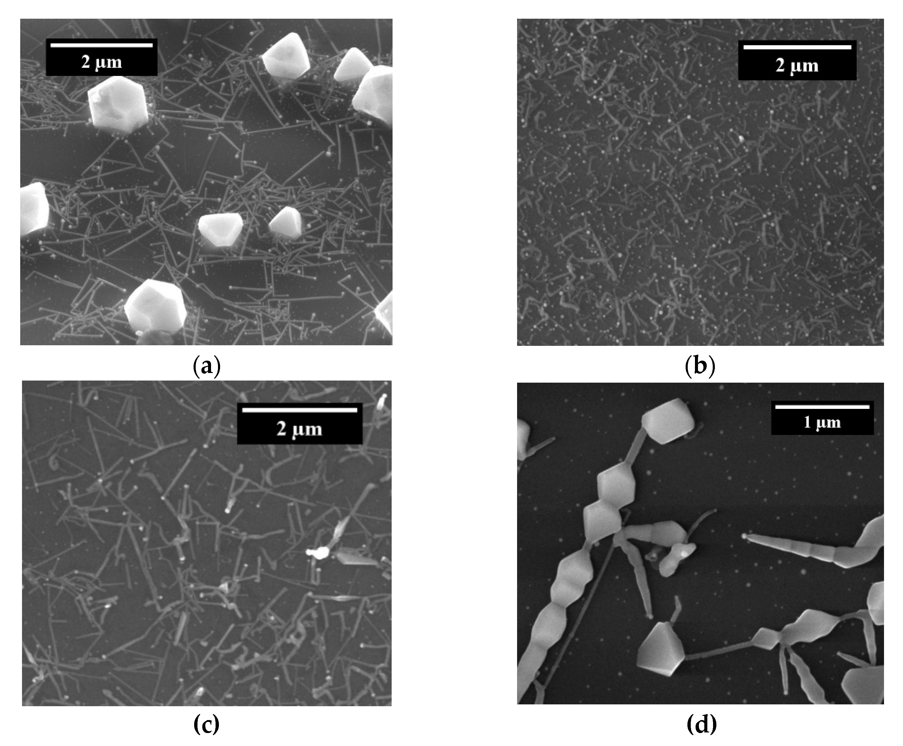 Sensors 21 03342 g003 Sensors 21 03342 g003