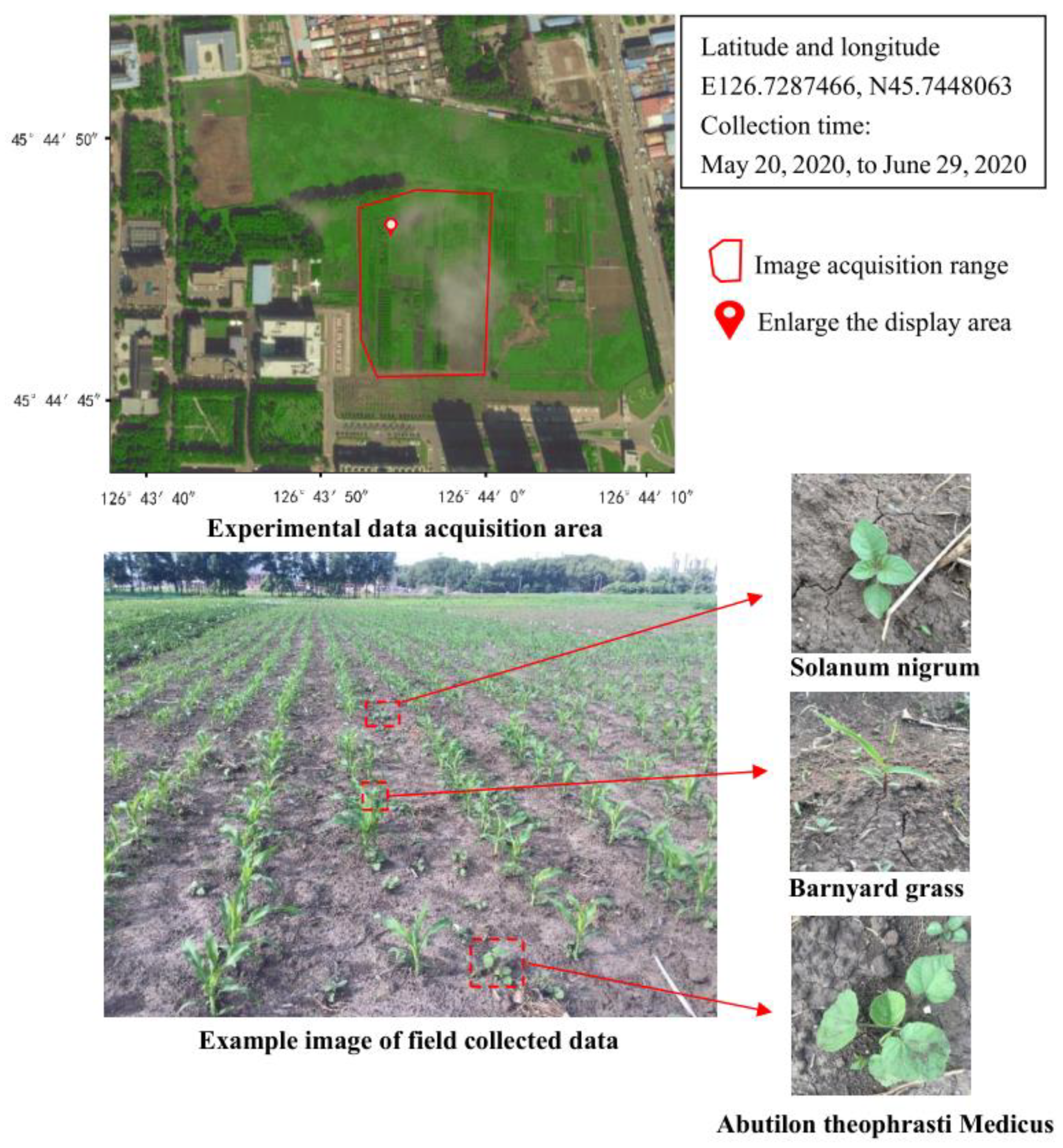 Sensors 21 03389 g001