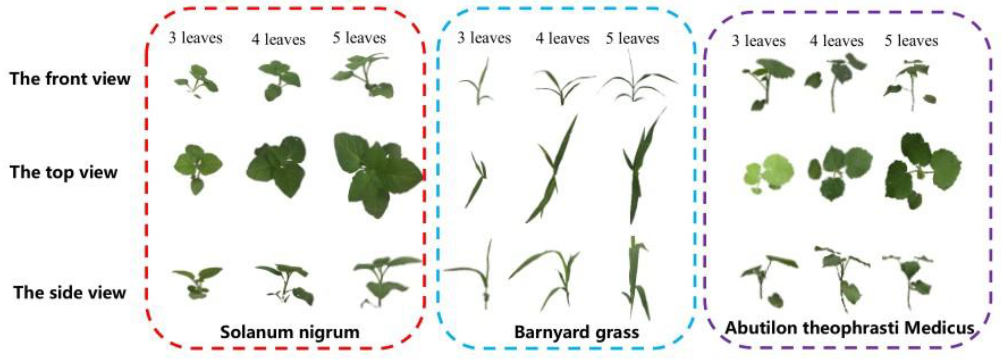 Sensors 21 03389 g002