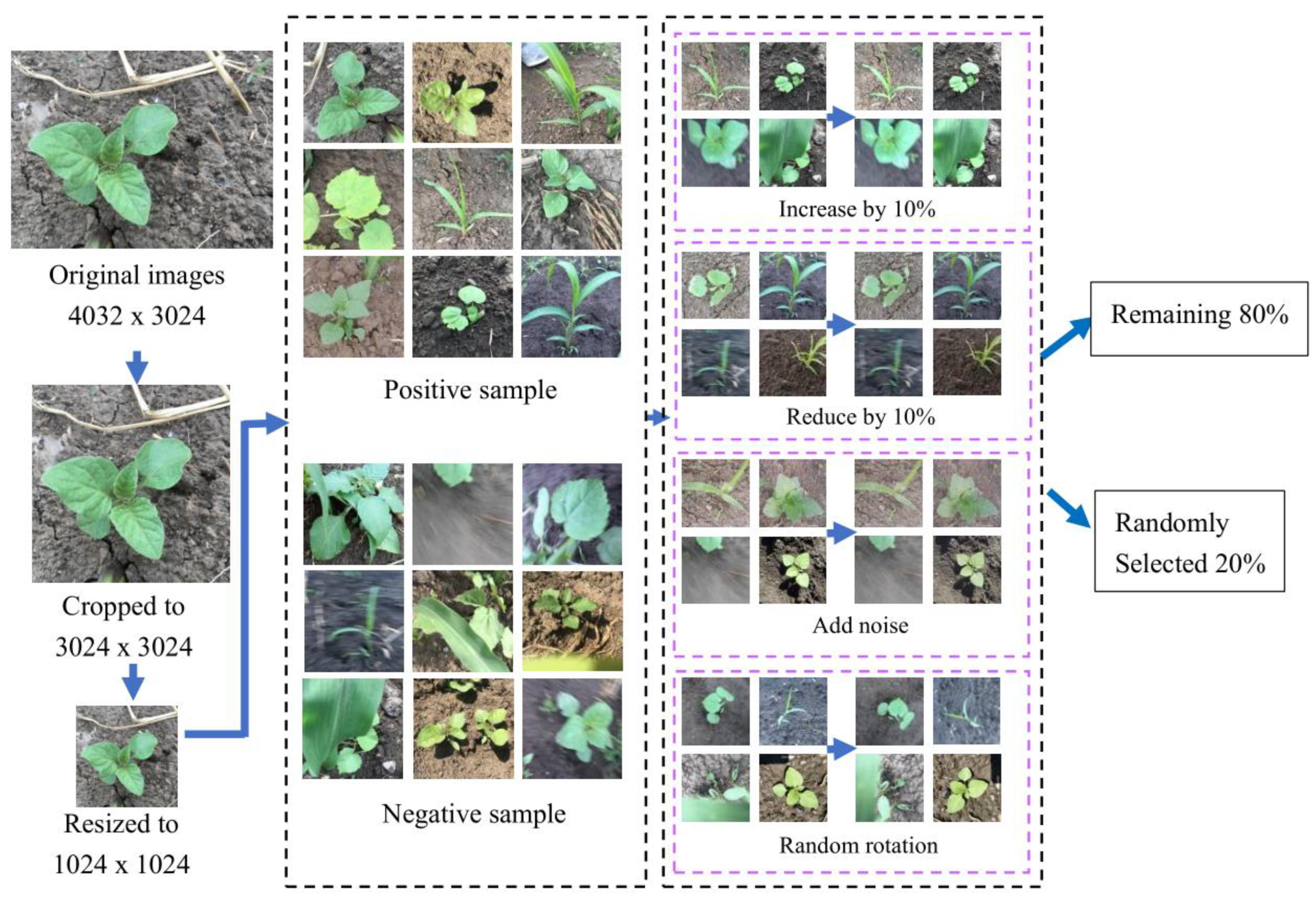Sensors 21 03389 g003