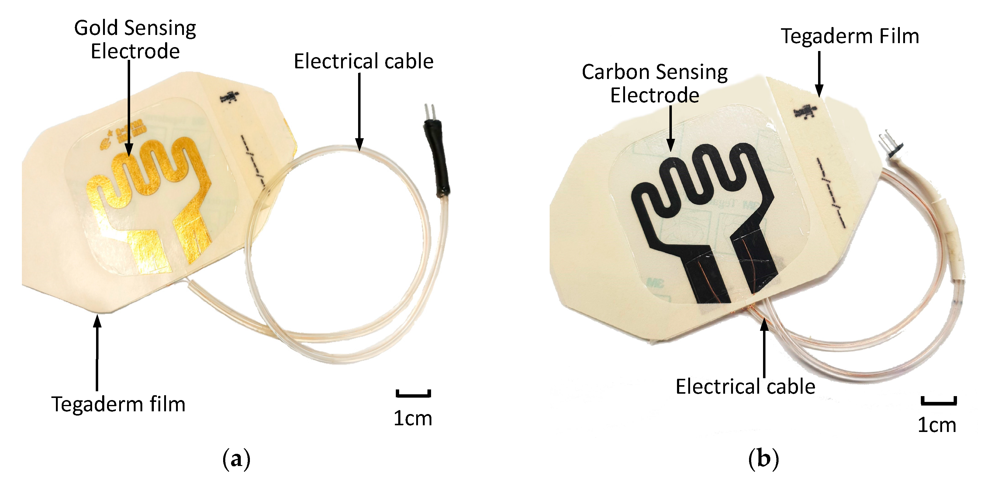 Sensors 21 03429 g005 Sensors 21 03429 g005