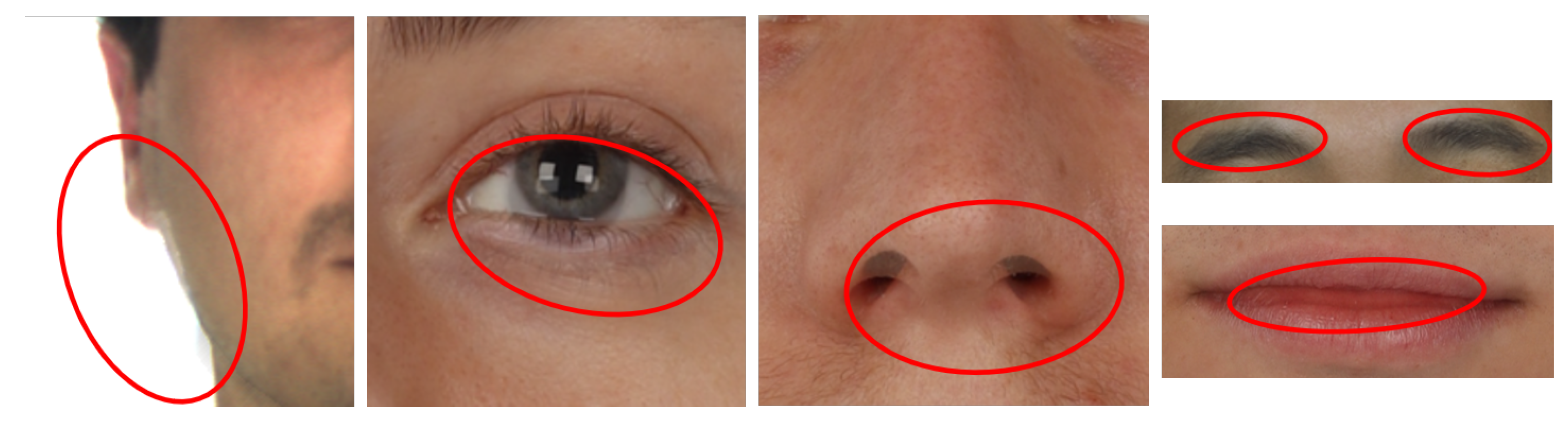 Sensors 21 03466 g001