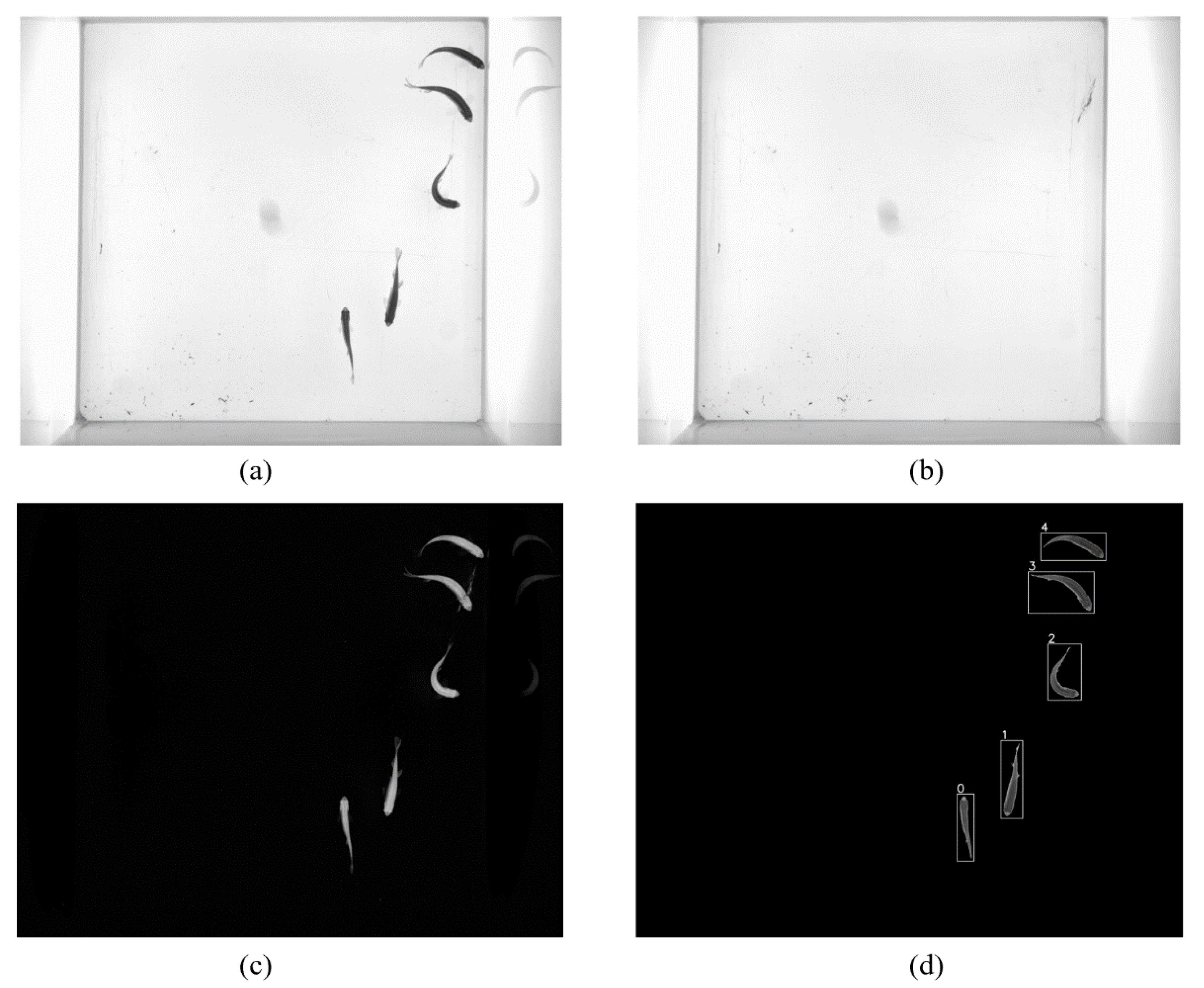 Sensors 21 03476 g002