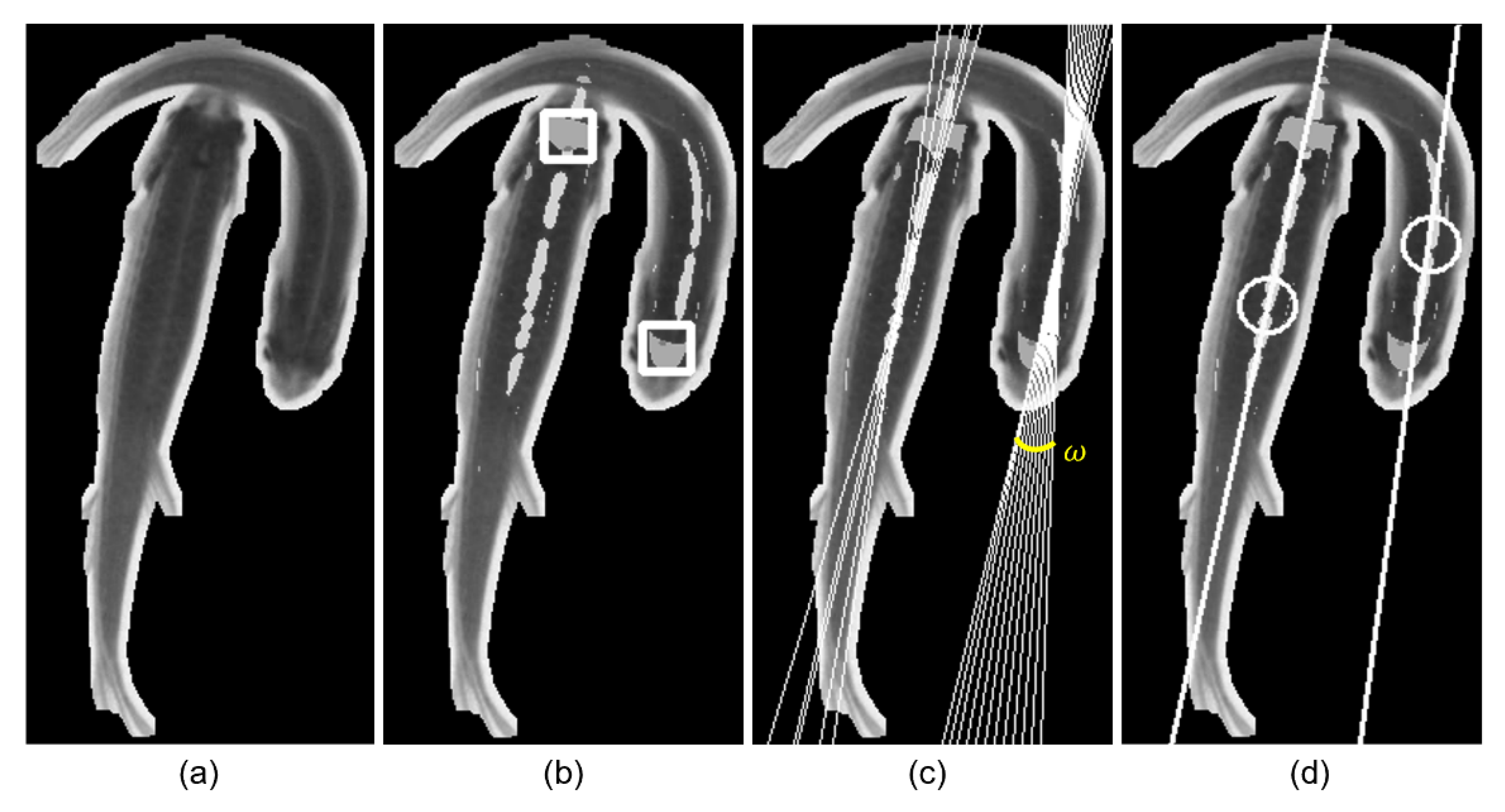 Sensors 21 03476 g004