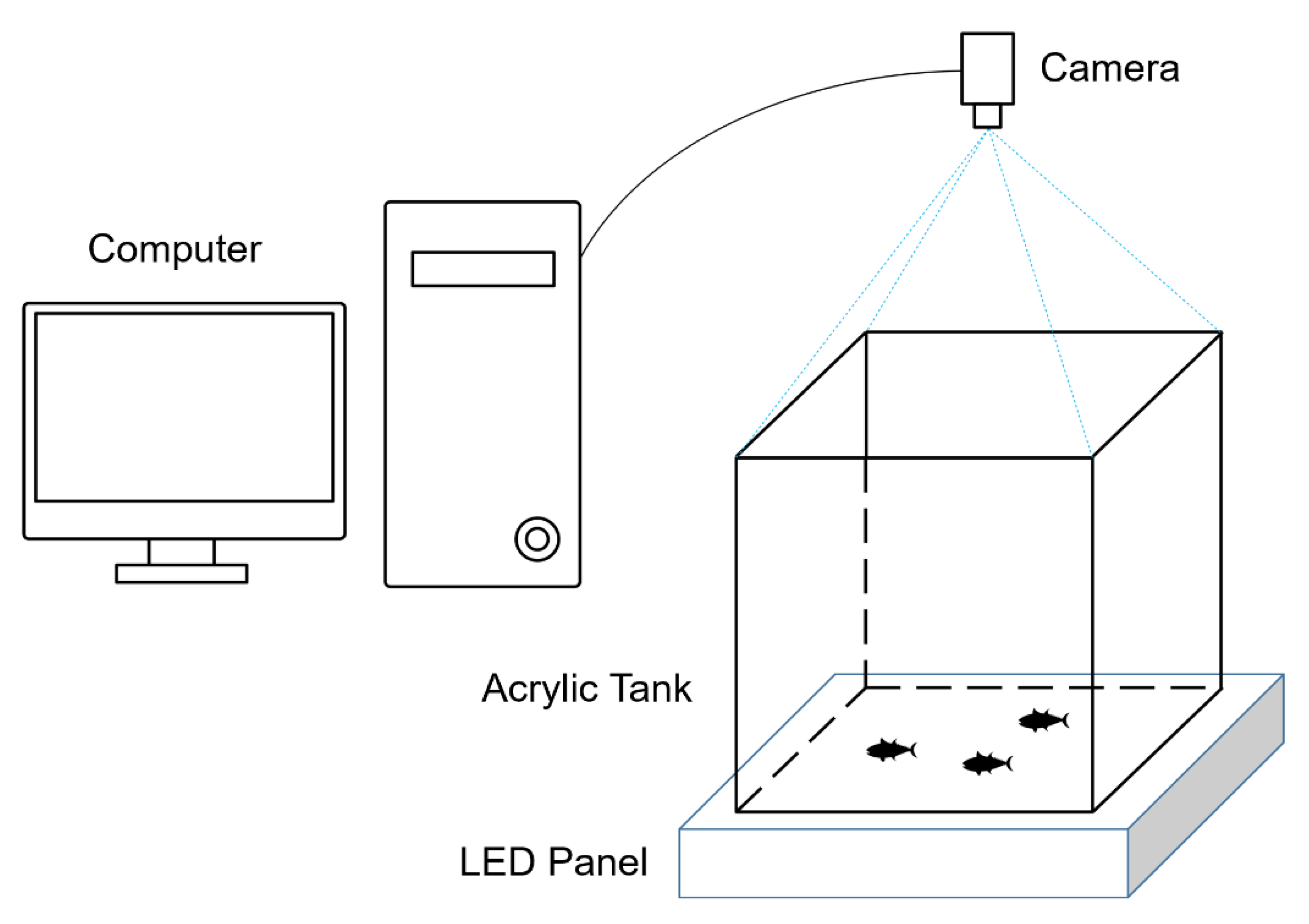 Sensors 21 03476 g007