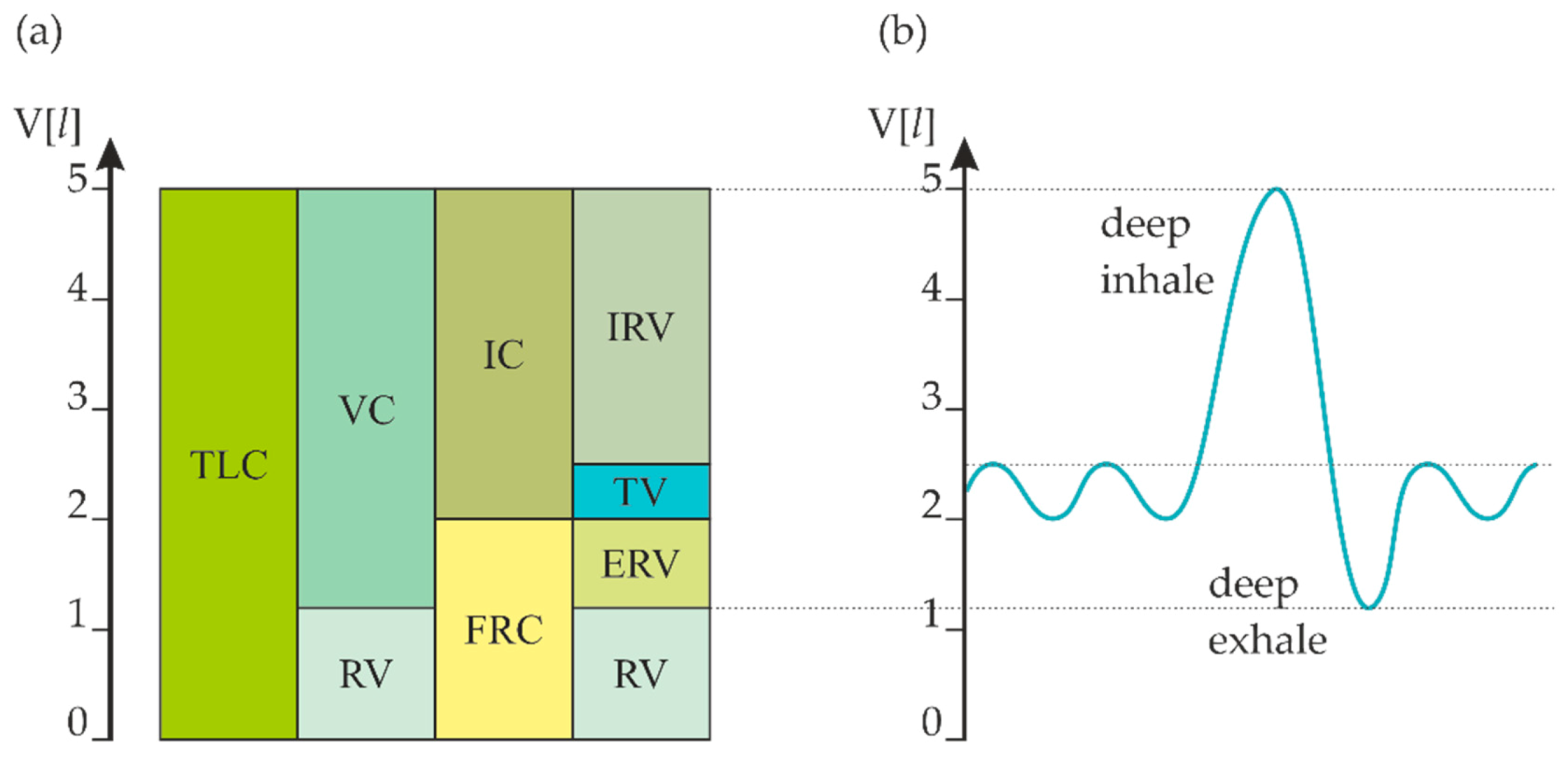 Sensors 21 03479 g002