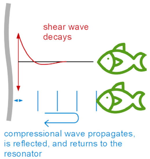 ATO Studying Soft Interfaces with Shear Waves: Principles and