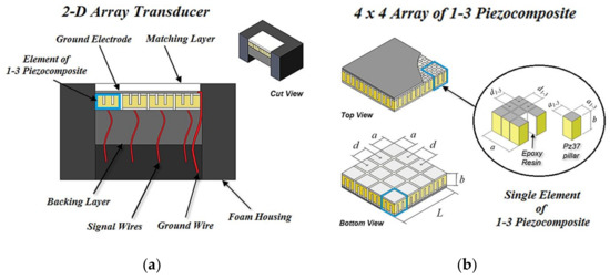 Development of a 2-D Array Ultrasonic Transducer for 3-D Imaging of ...