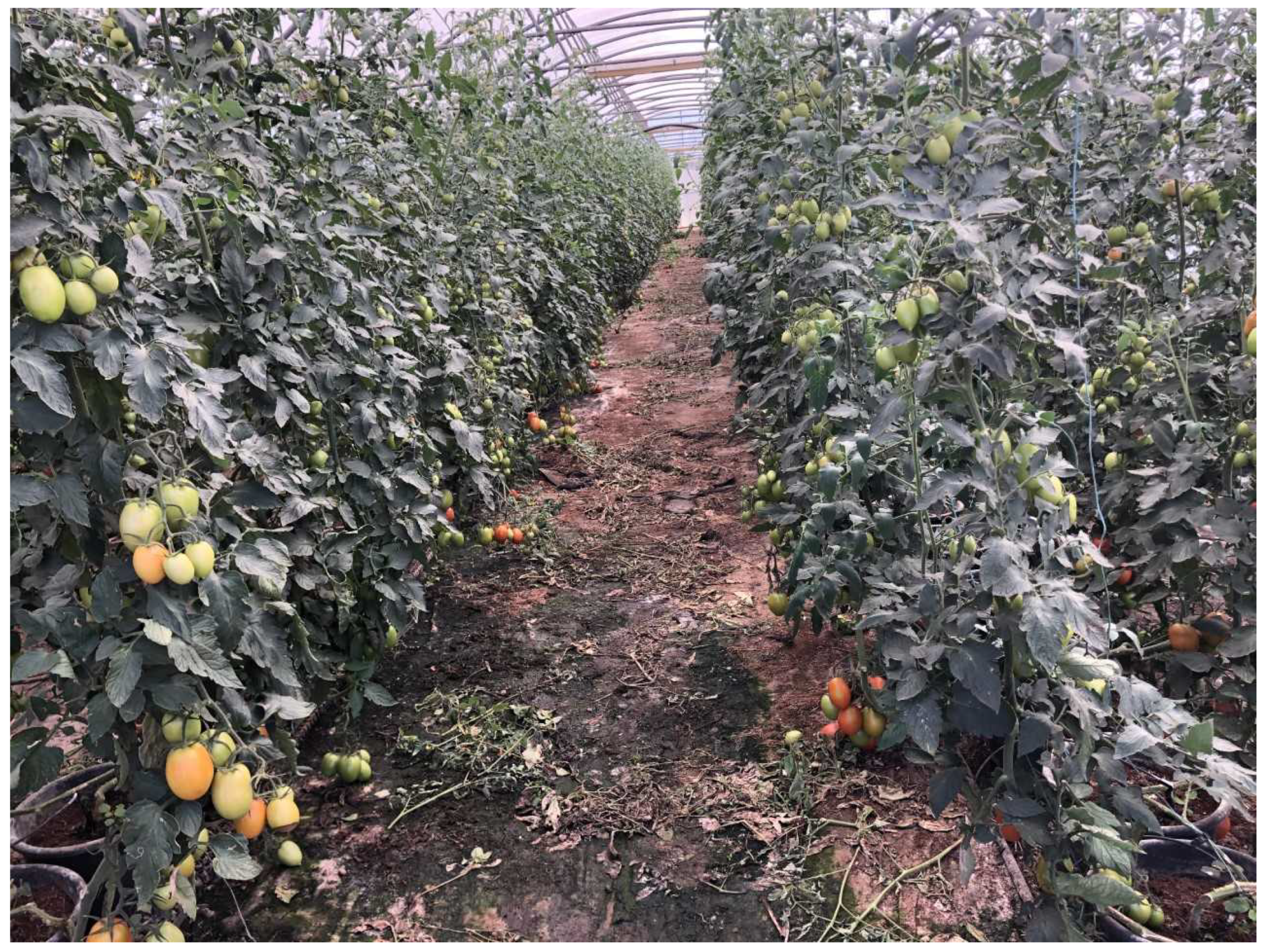 Sensors 21 03569 g005