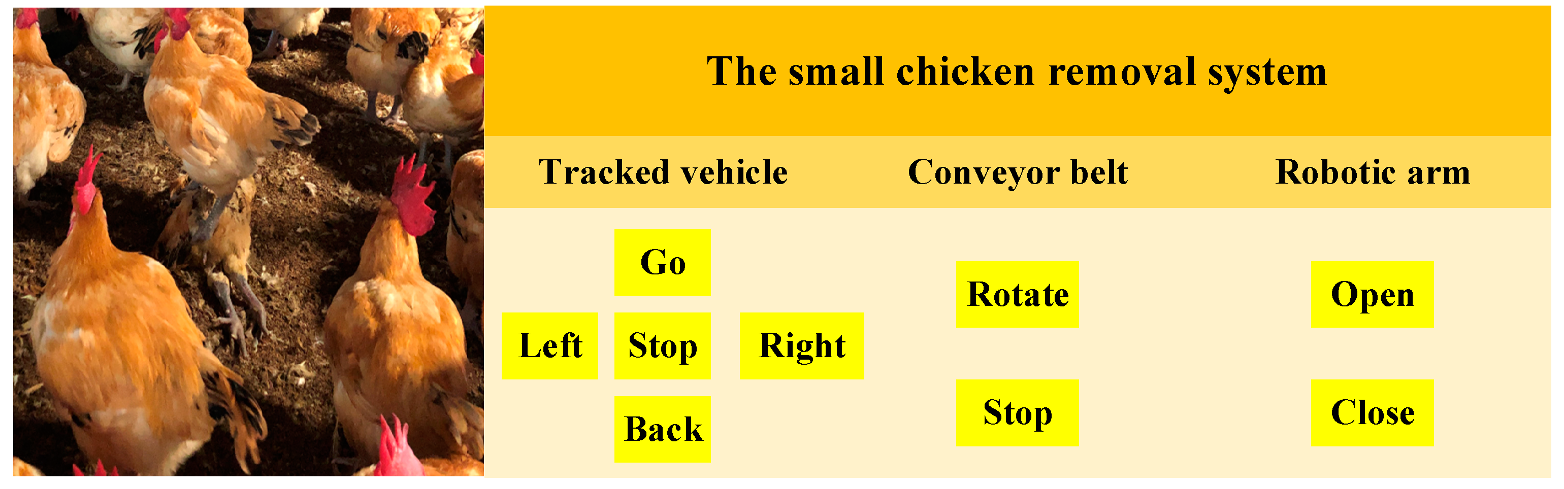 Sensors 21 03579 g007