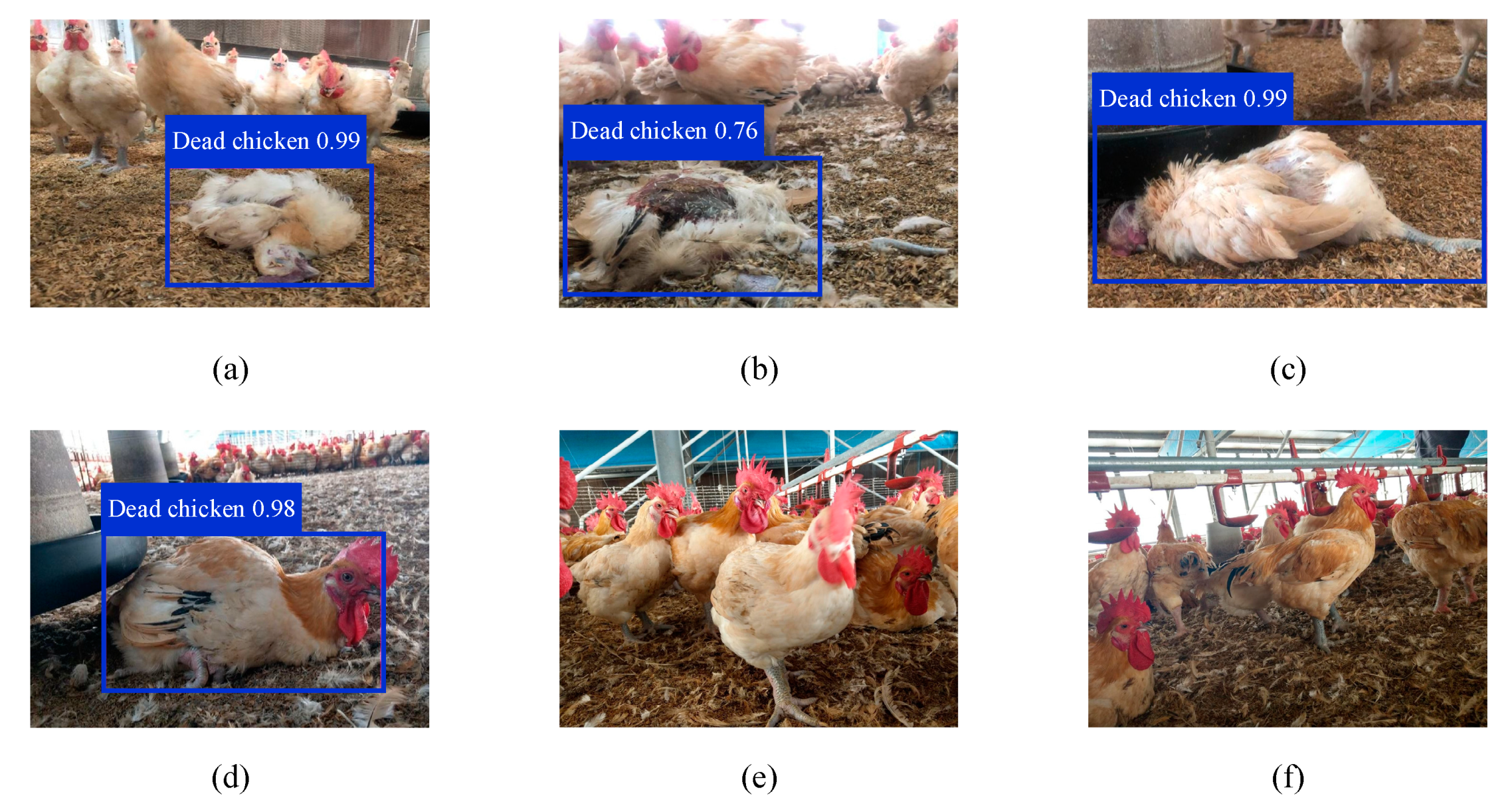 Sensors 21 03579 g010