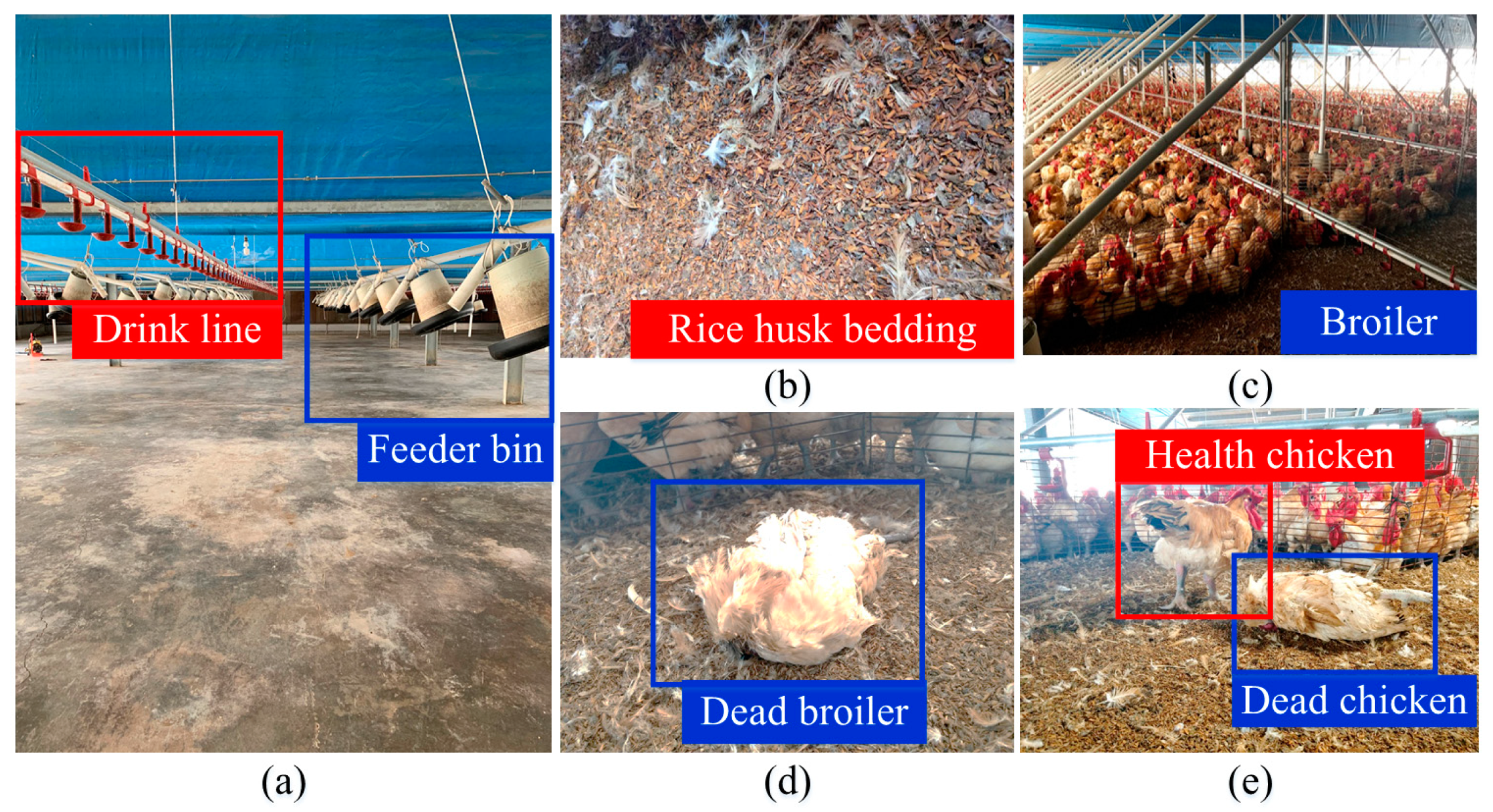 Sensors 21 03579 g011