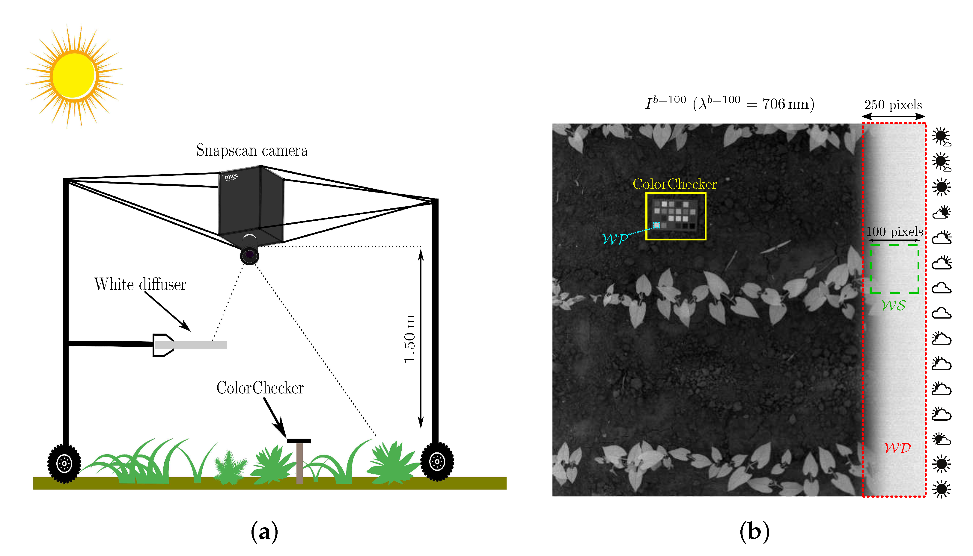 Sensors 21 03601 g003