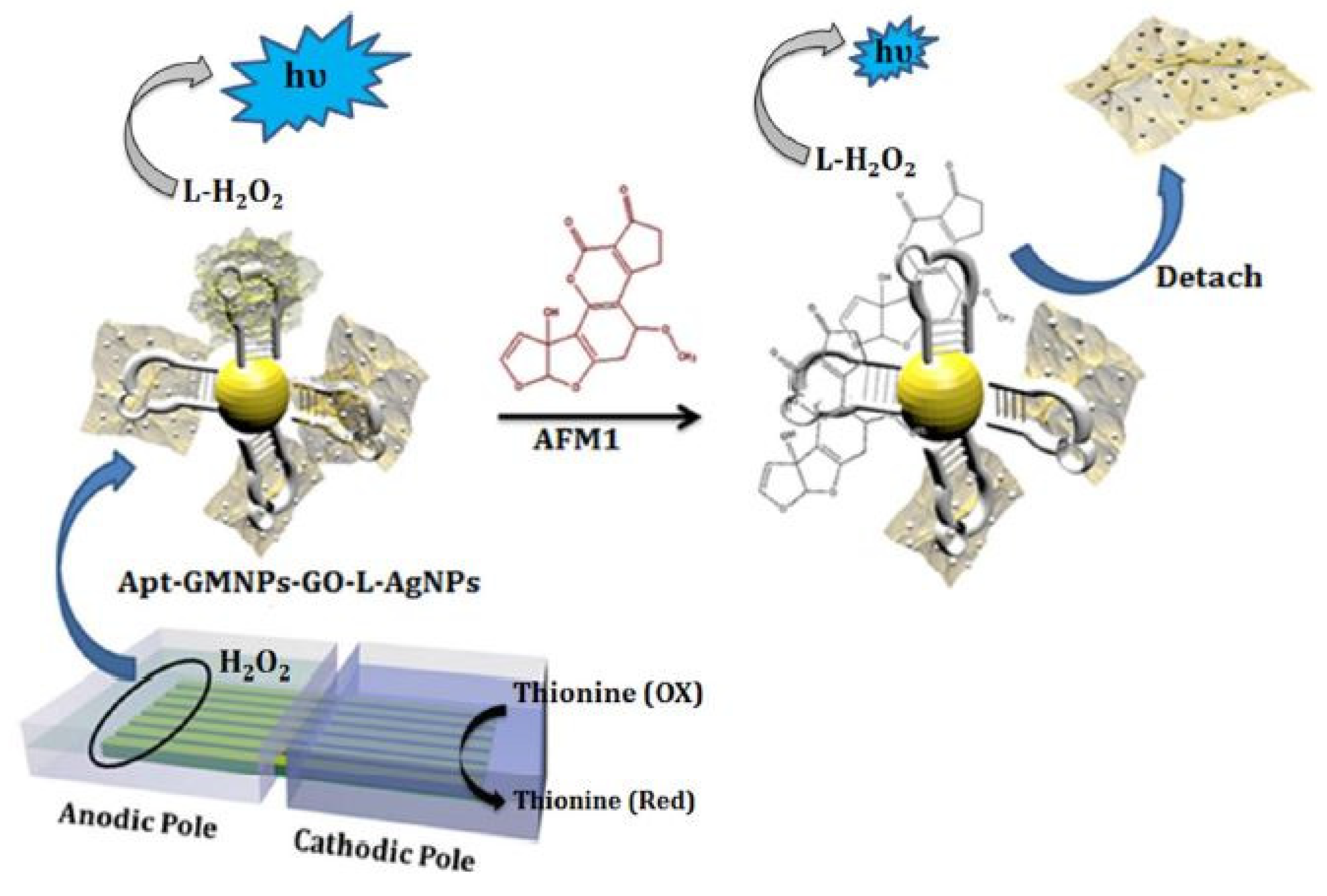 Sensors 21 03602 g005 Sensors 21 03602 g005