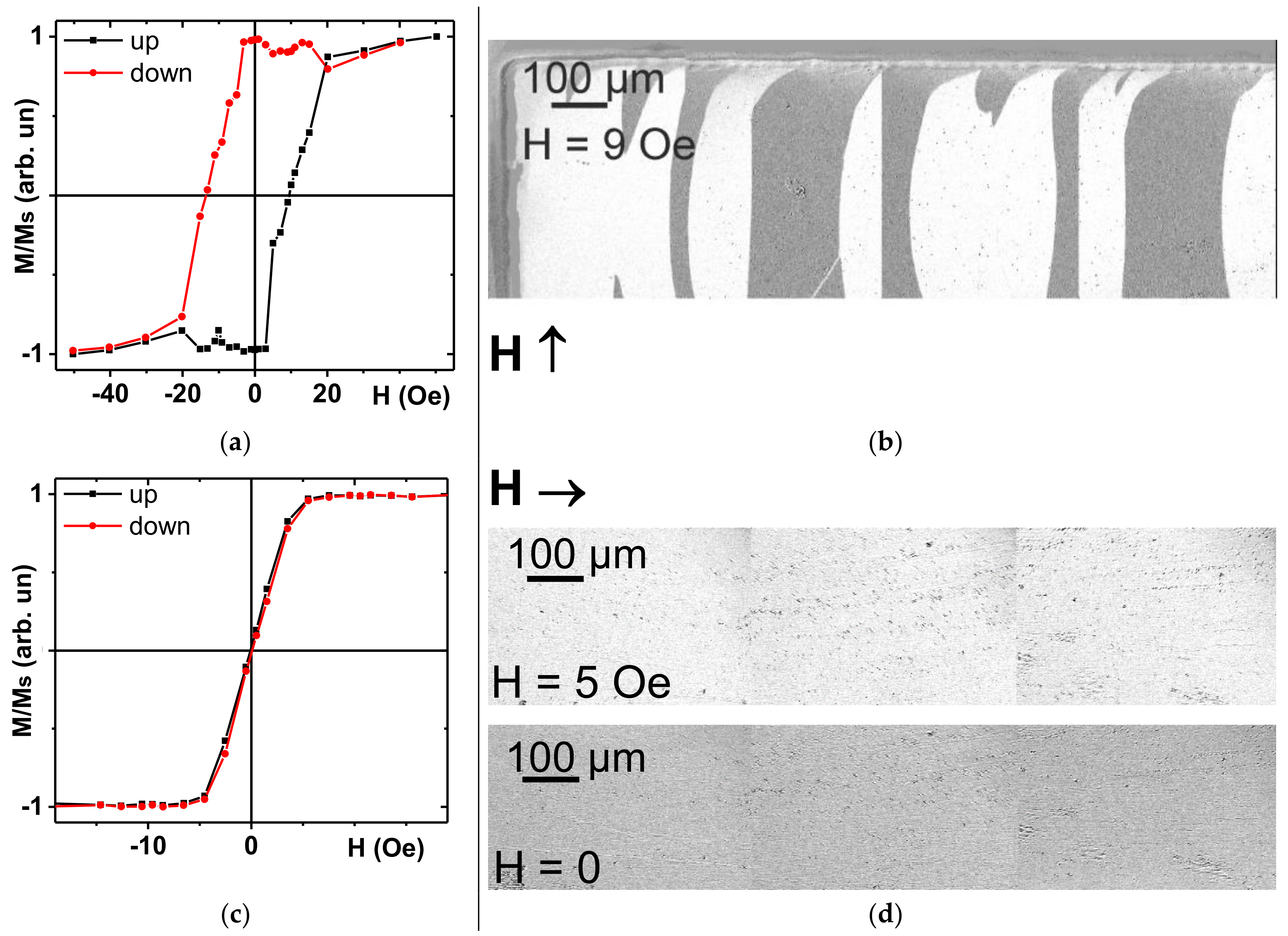 Sensors 21 03621 g003 Sensors 21 03621 g003