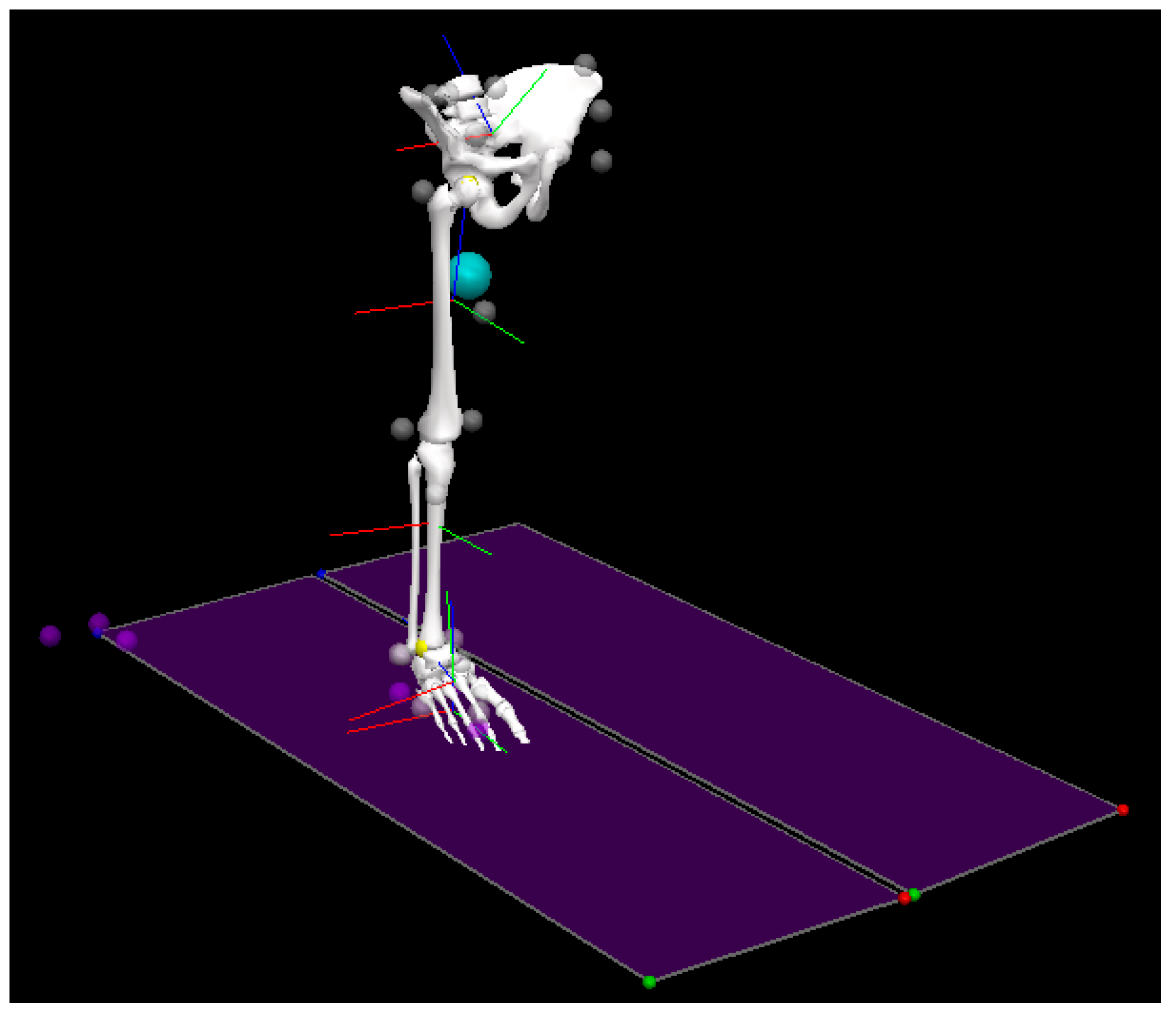 Sensors 21 03667 g001