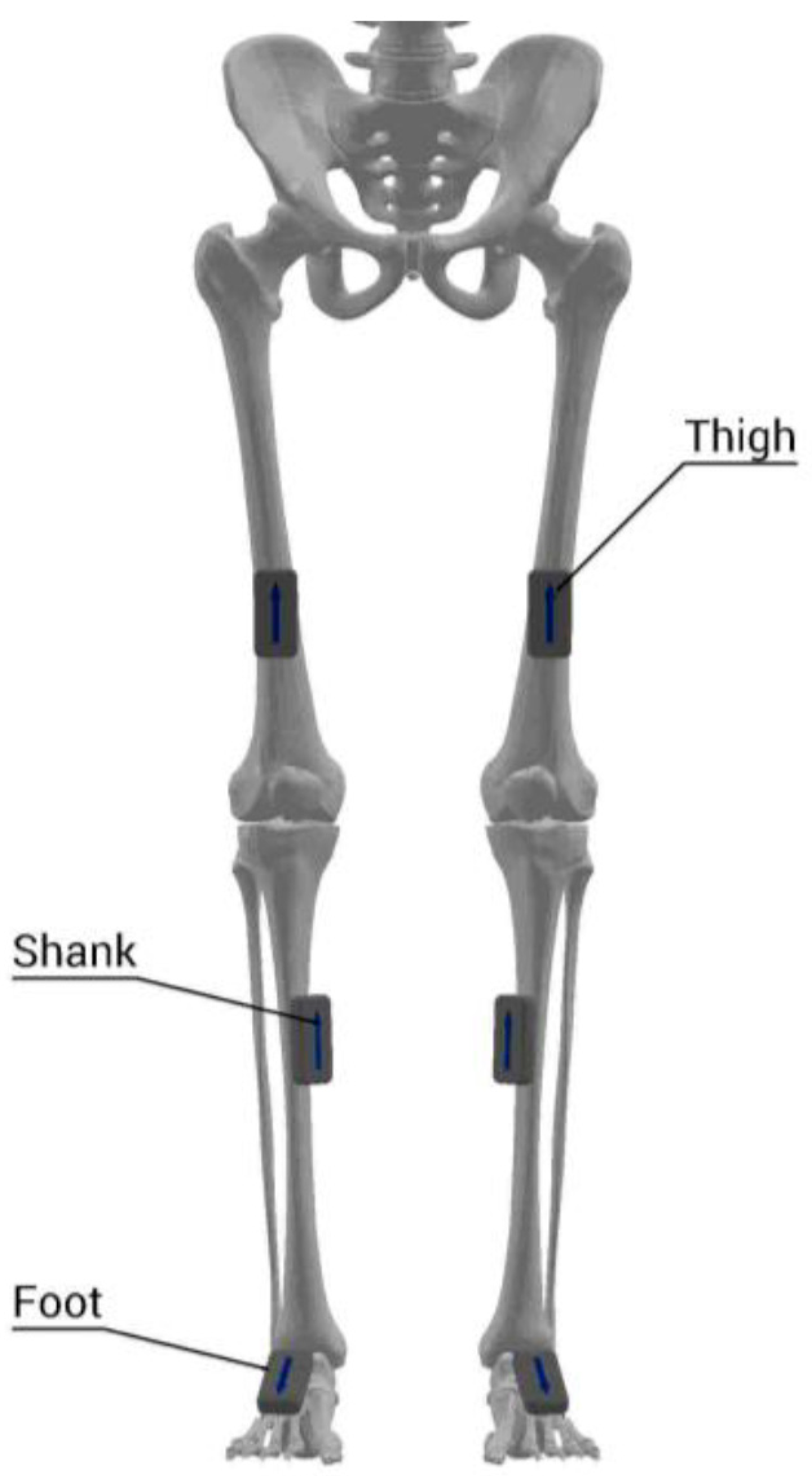 Sensors 21 03667 g002