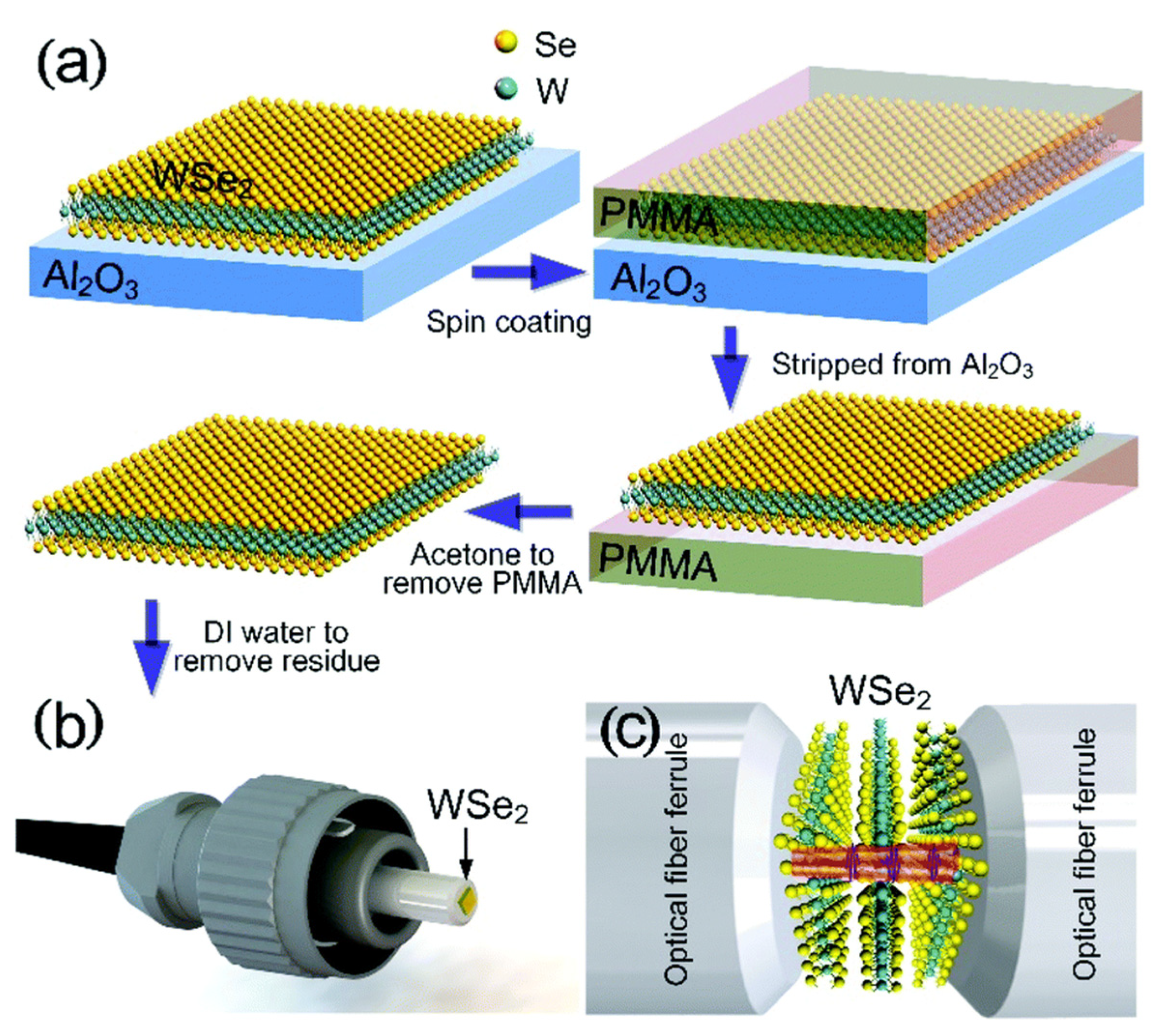 Sensors 21 03676 g003 Sensors 21 03676 g003