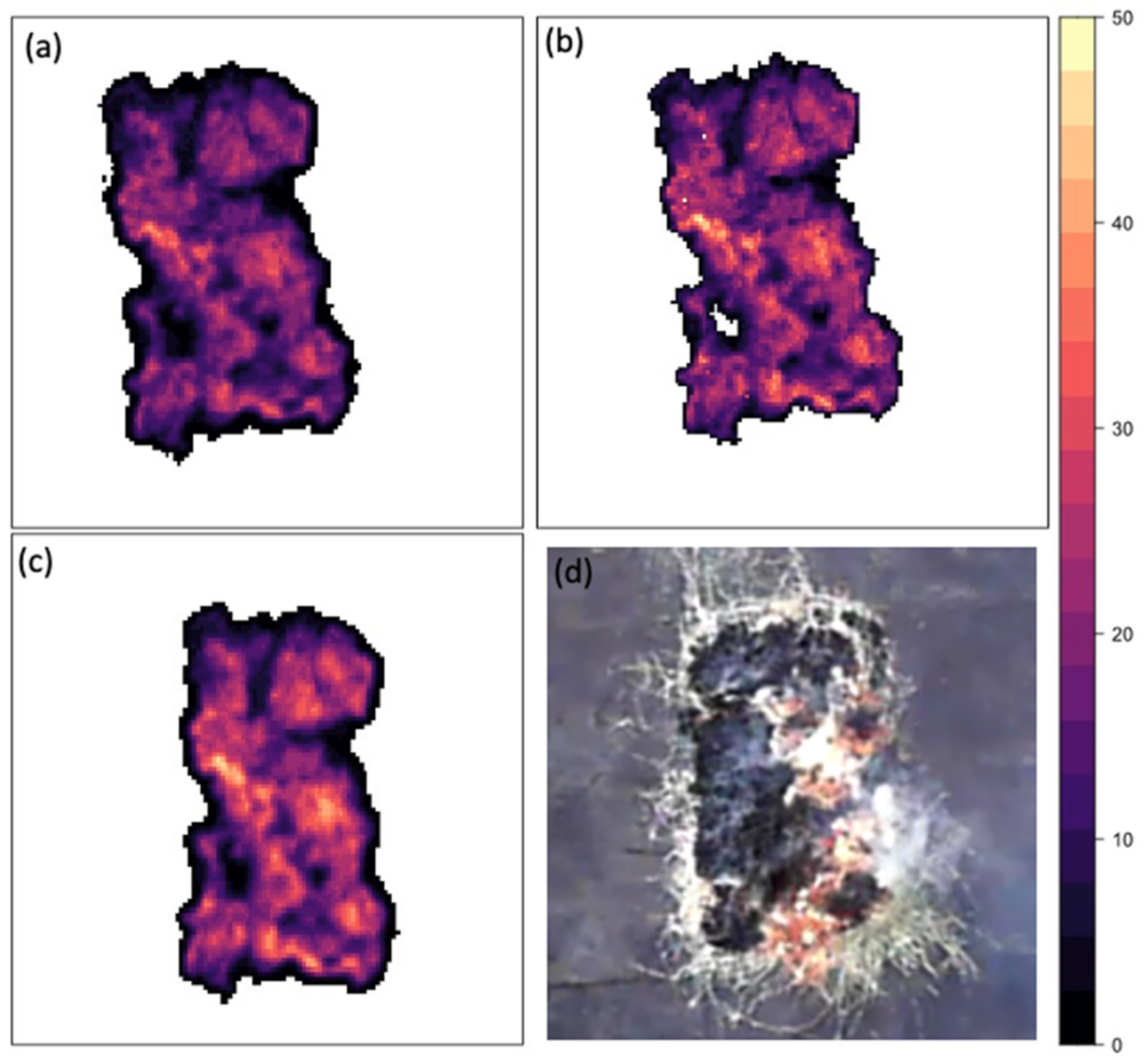 Sensors 21 03690 g005