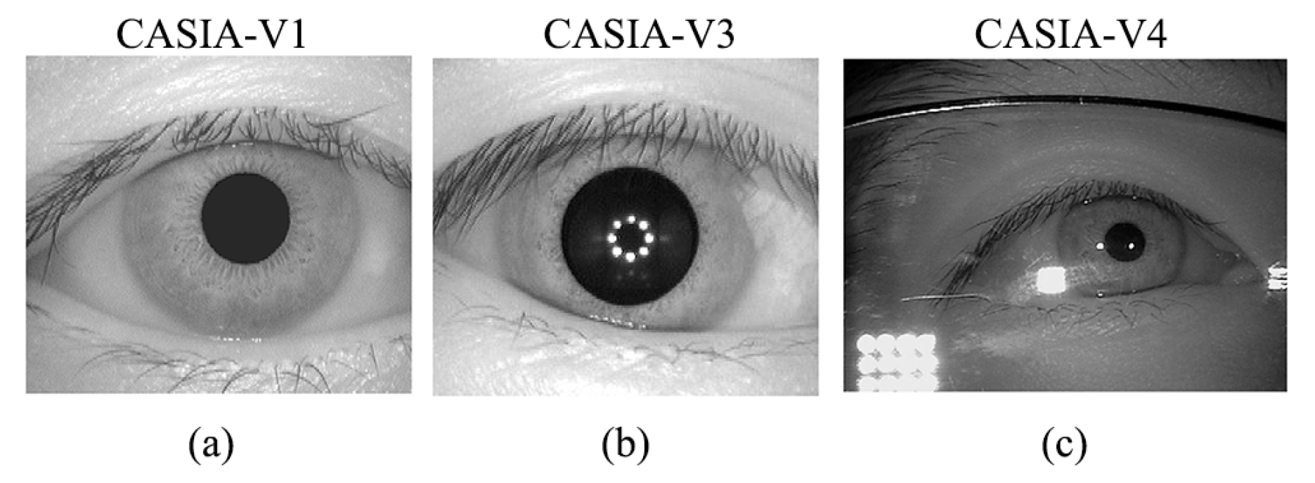 Sensors 21 03721 g006