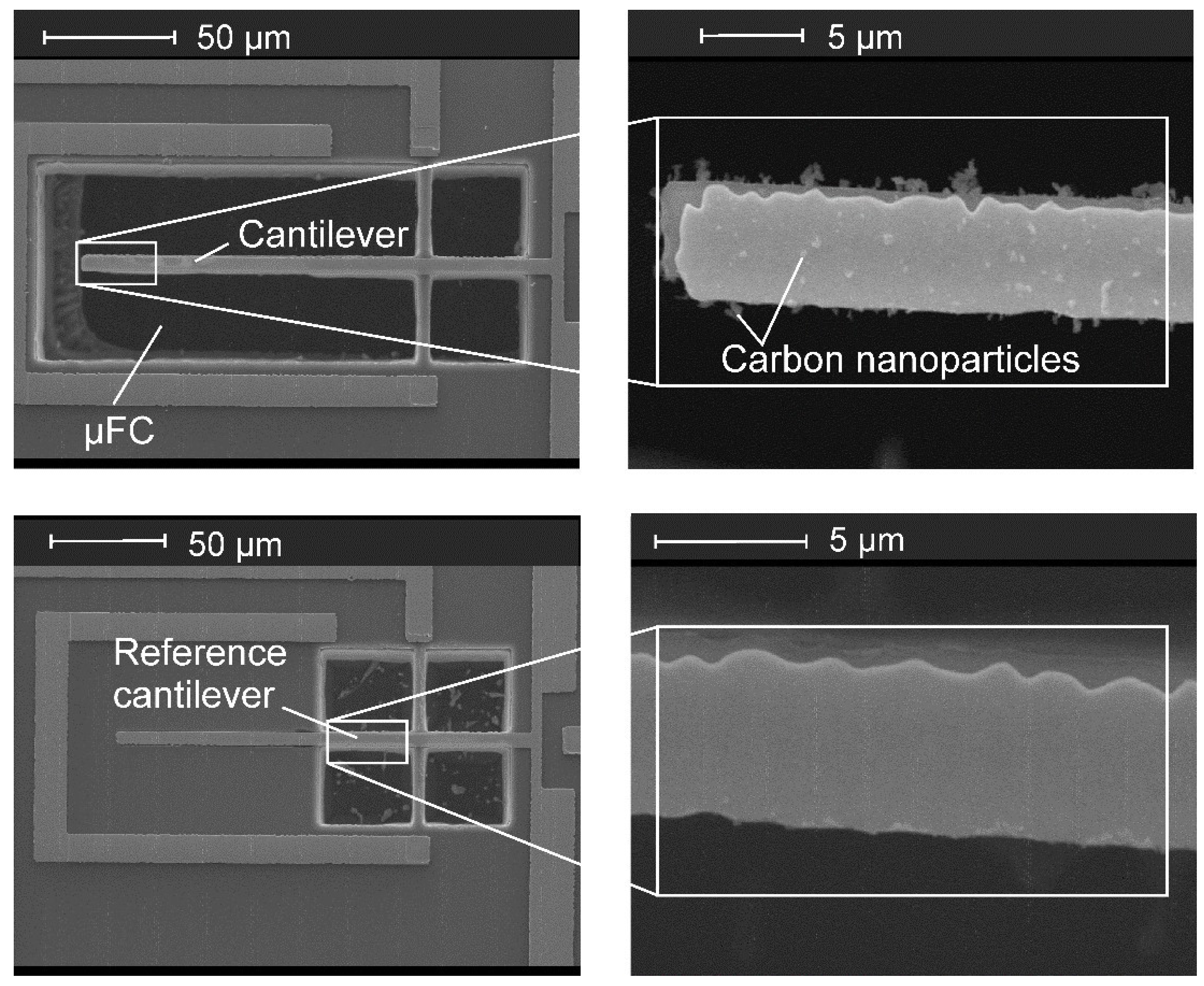 Sensors 21 03731 g005