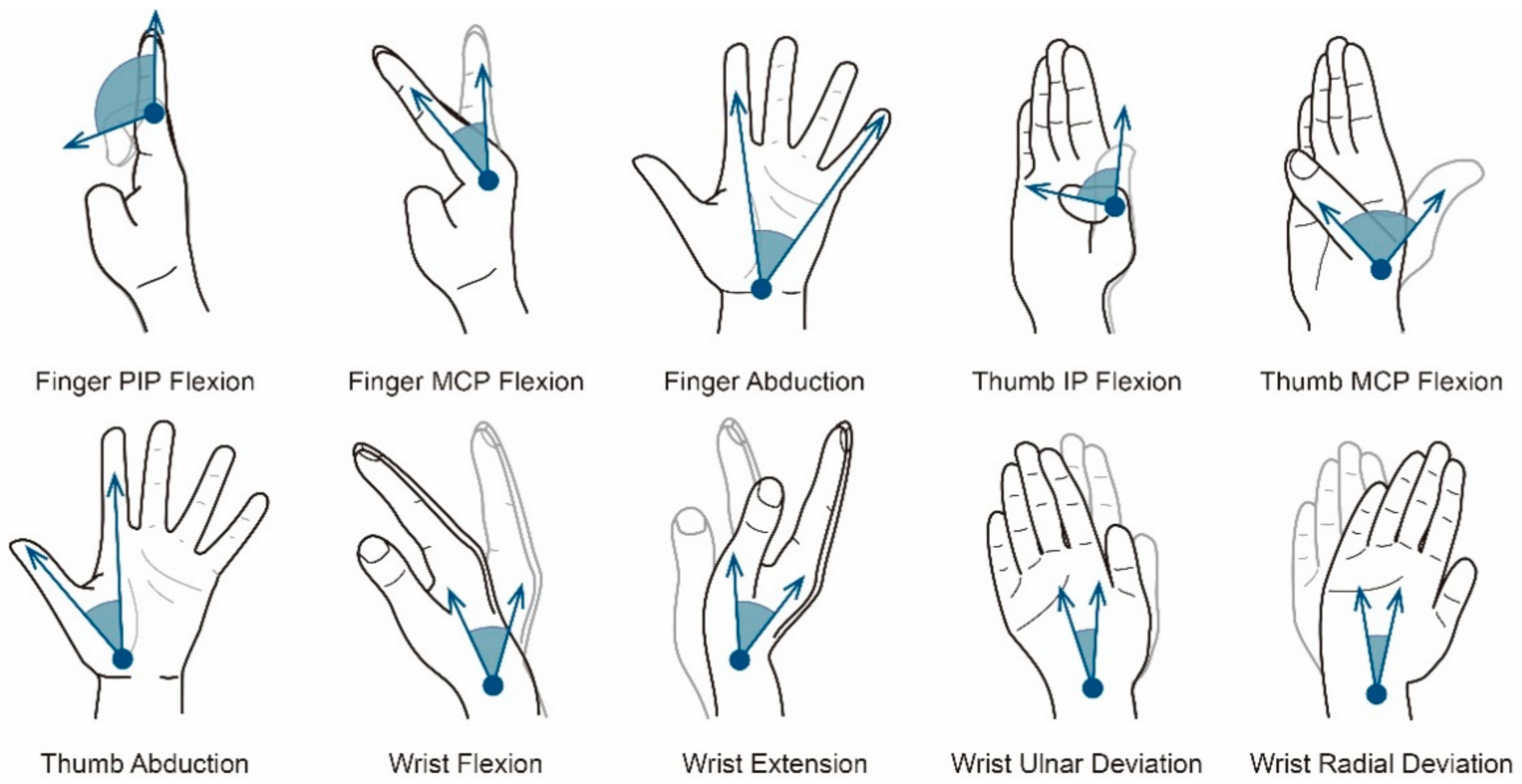 Joint Movements Image