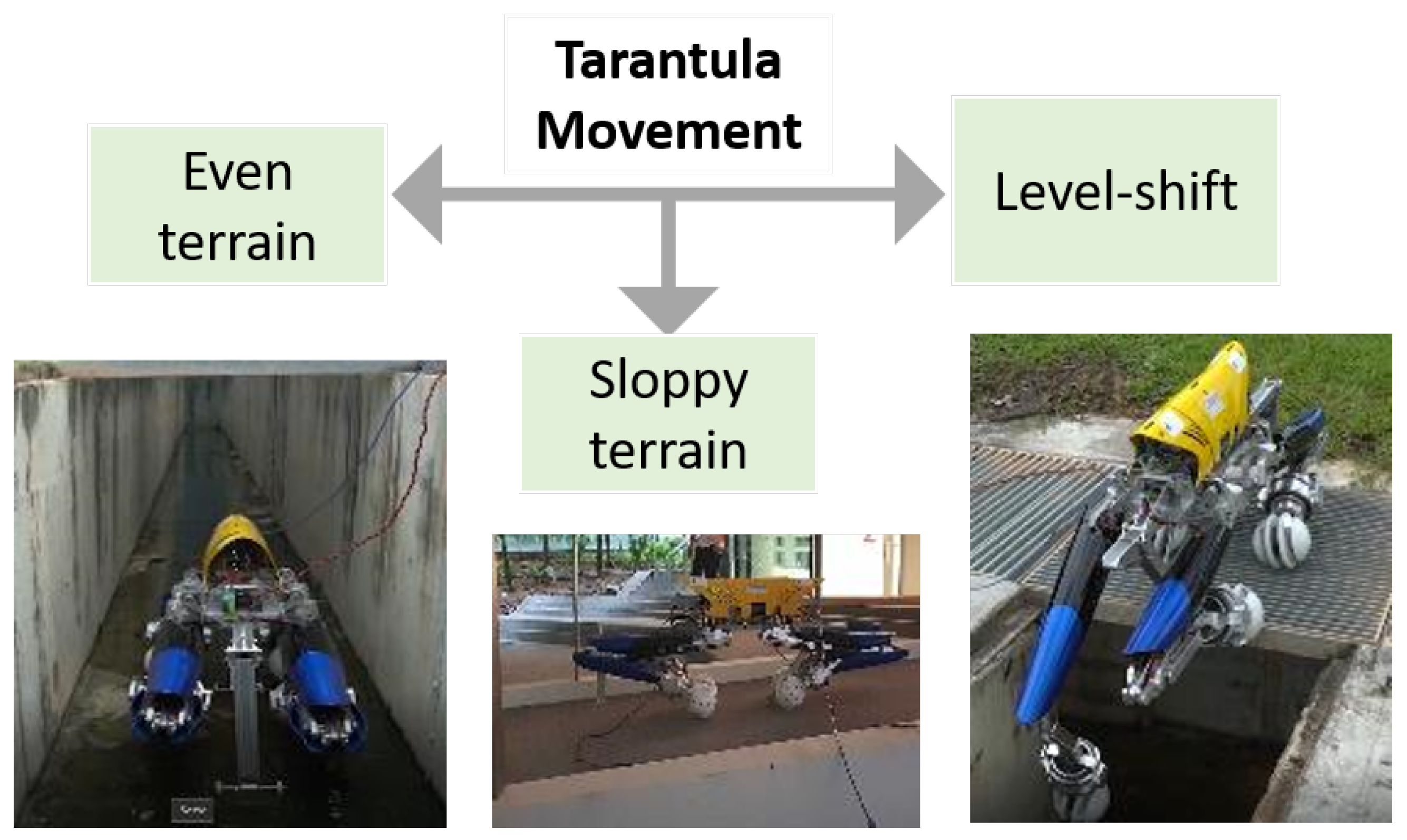 Sensors 21 03744 g007