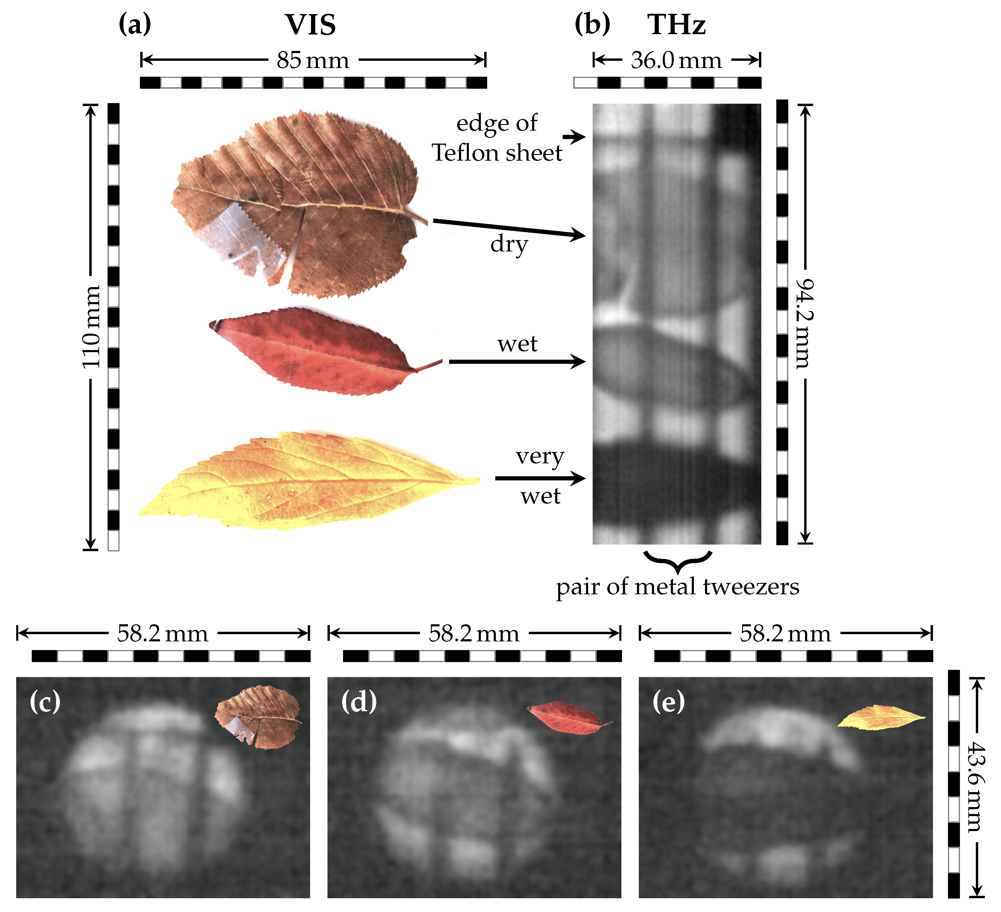 Sensors 21 03757 g006 Sensors 21 03757 g006