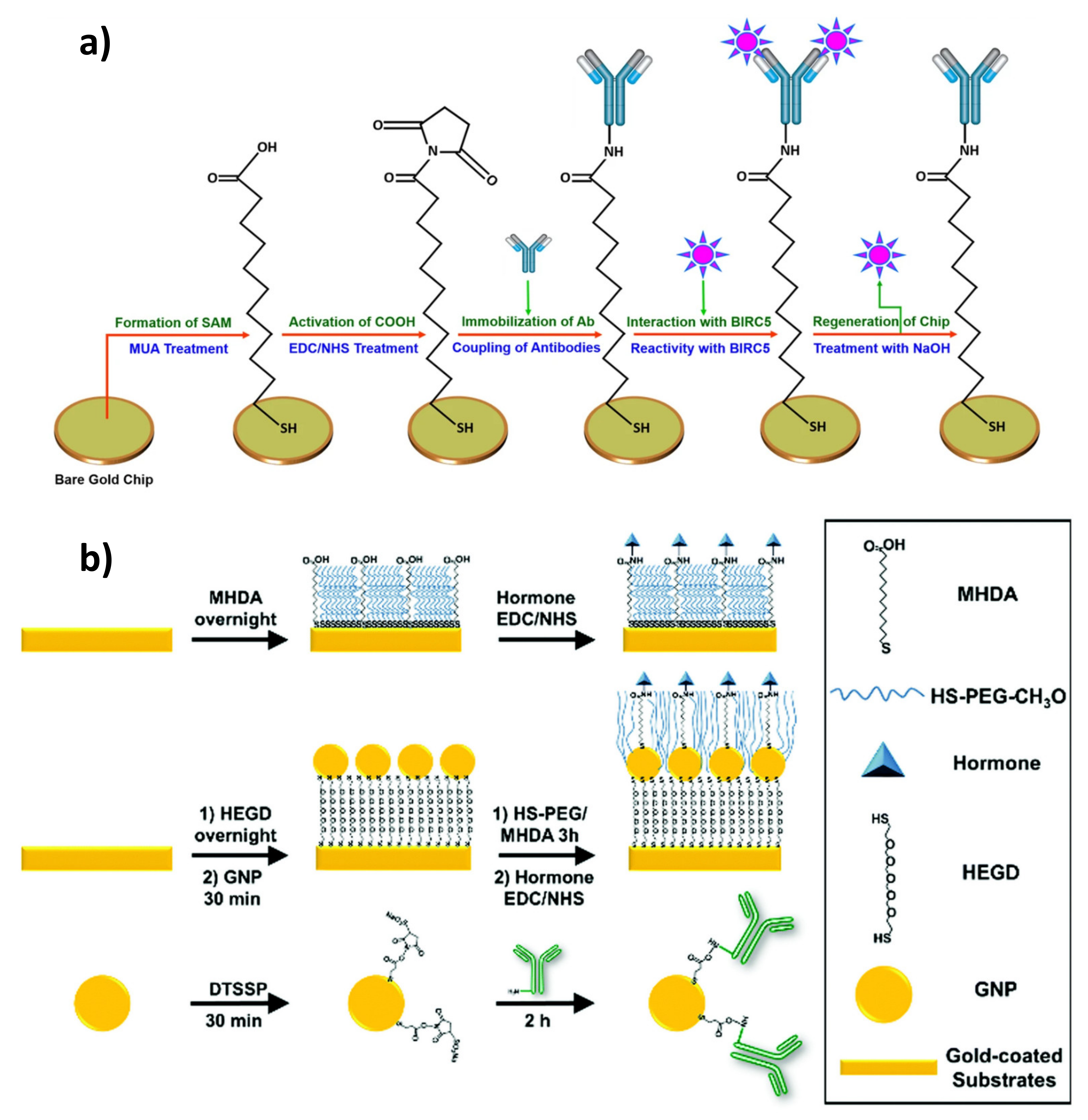 Sensors 21 03781 g002