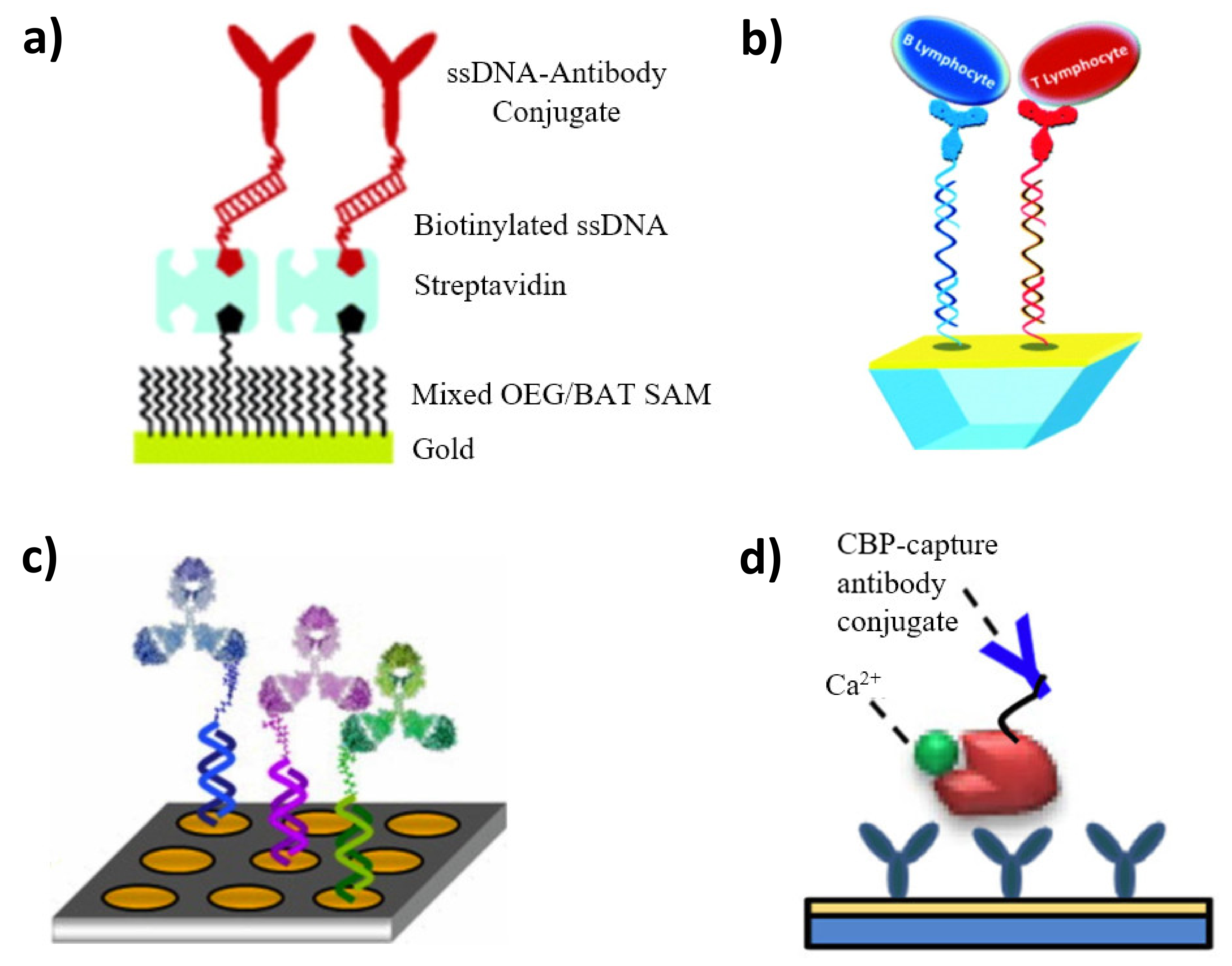 Sensors 21 03781 g008