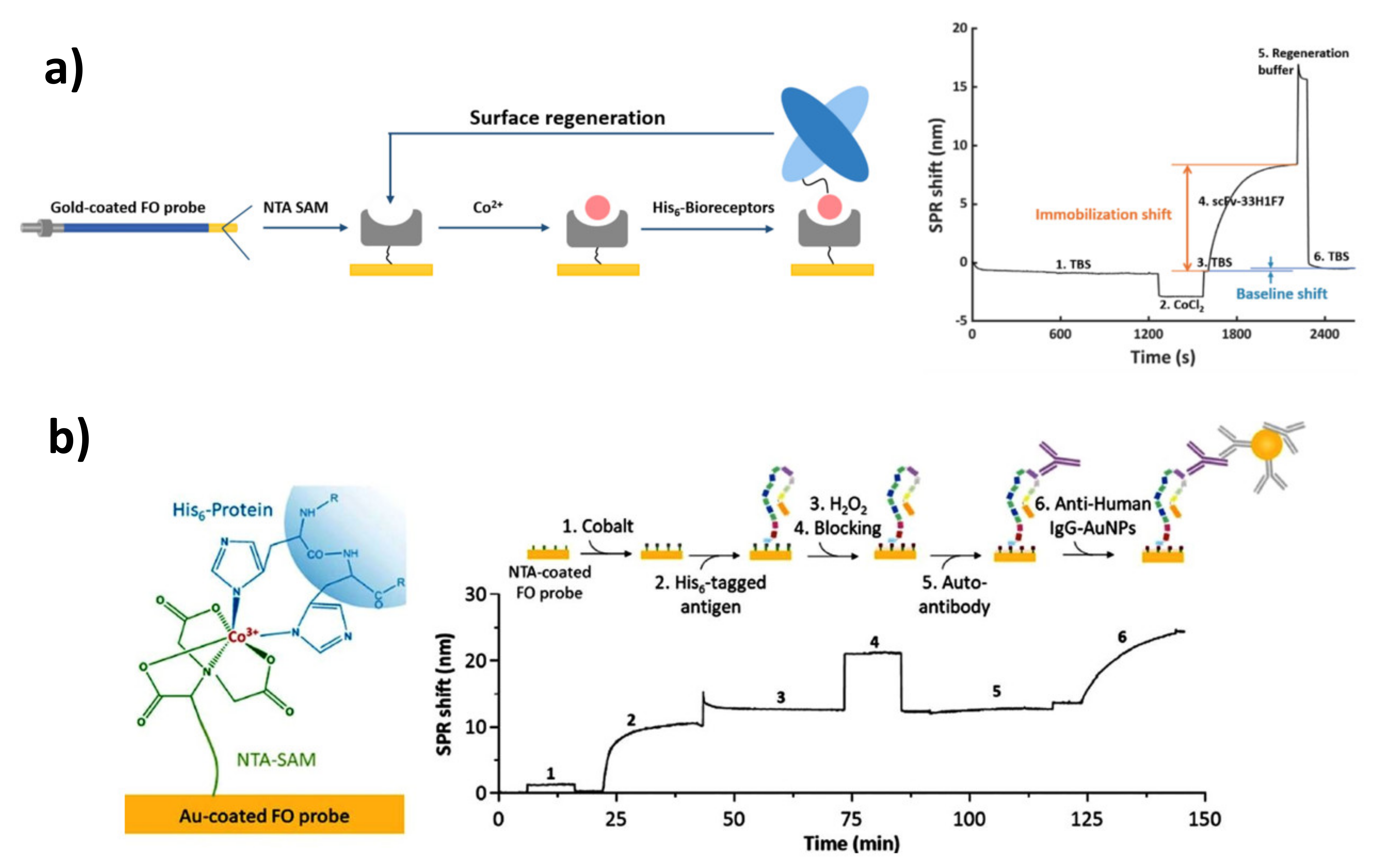 Sensors 21 03781 g009