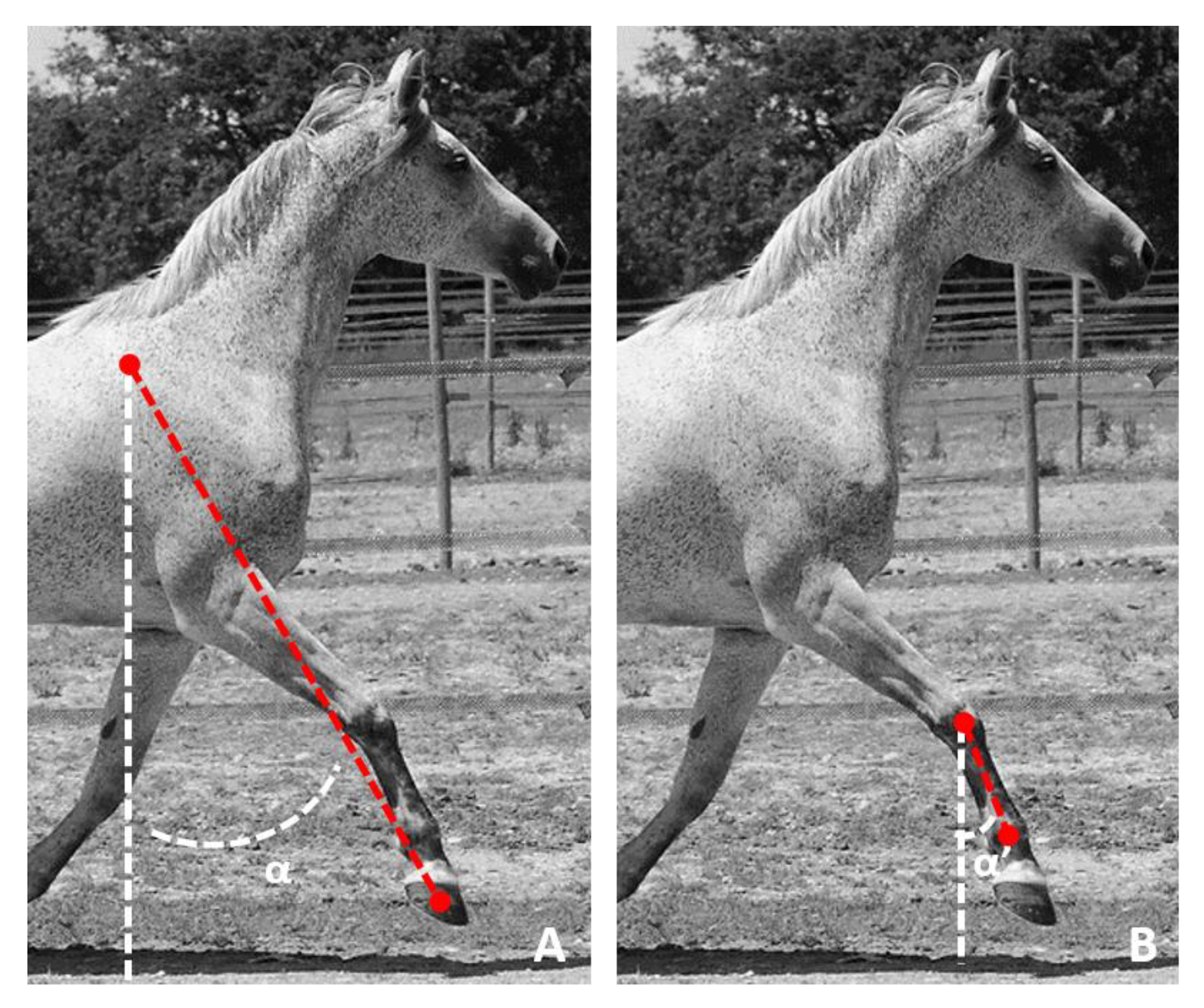 Sensors 21 03792 g001