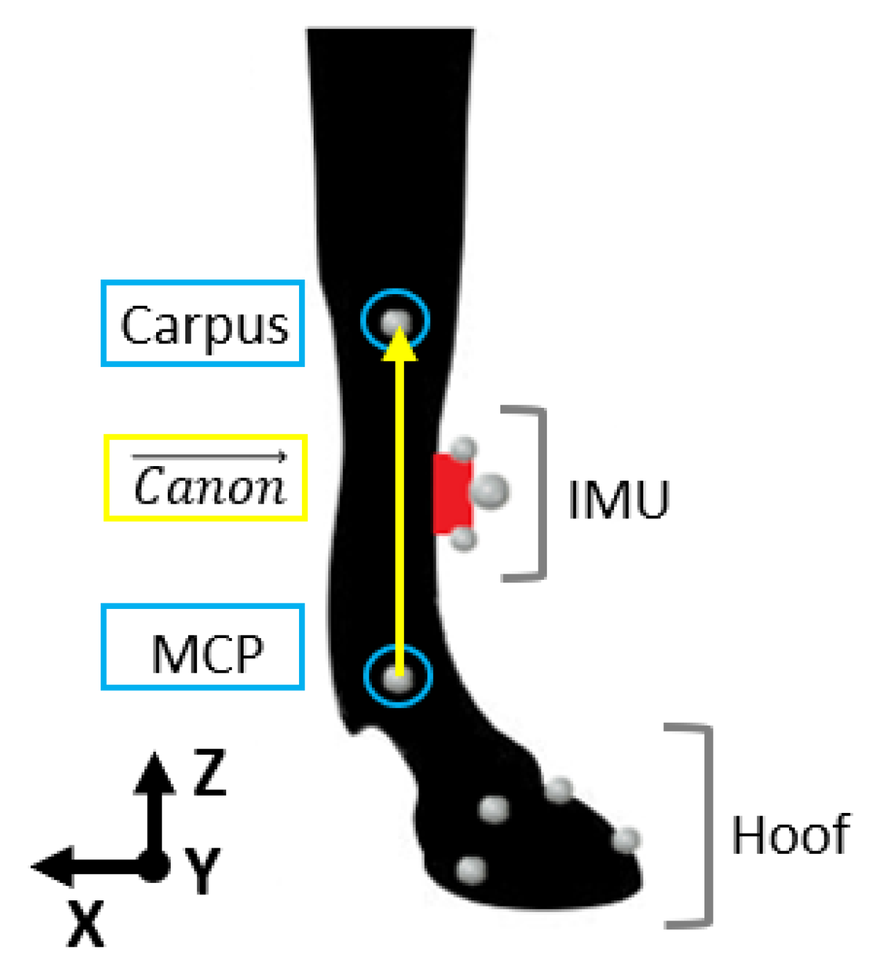 Sensors 21 03792 g002