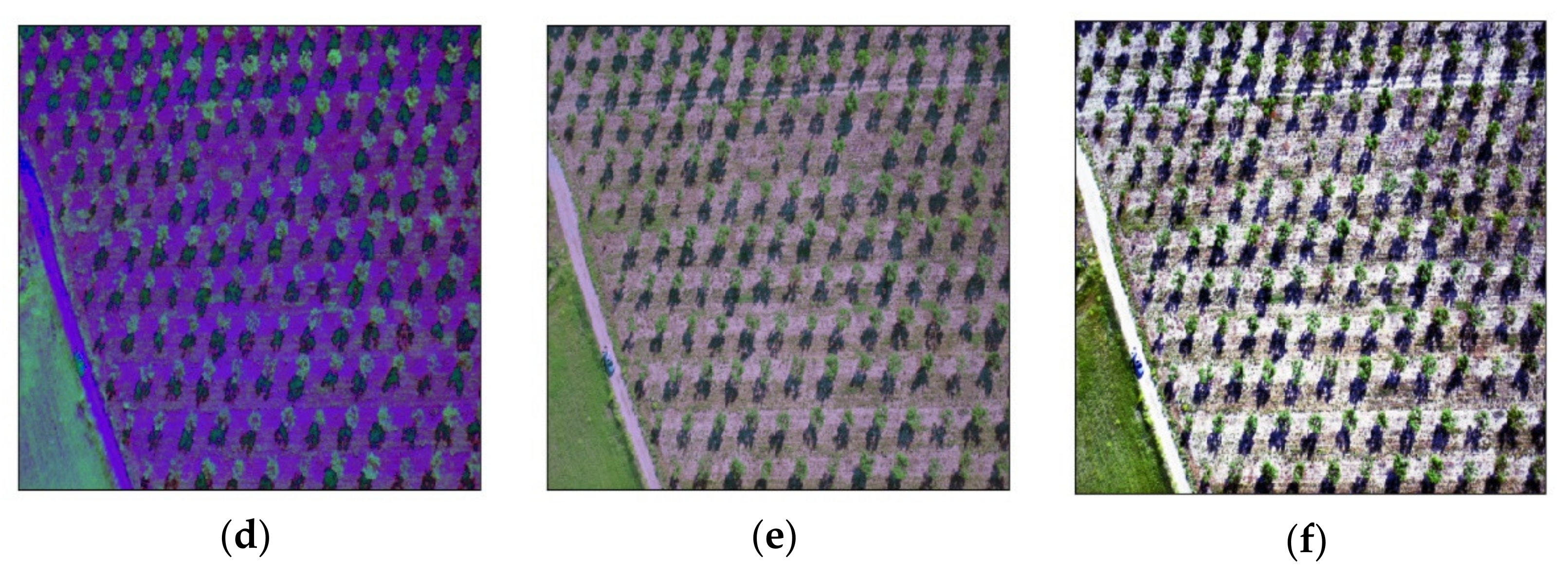 Sensors 21 03813 g004b