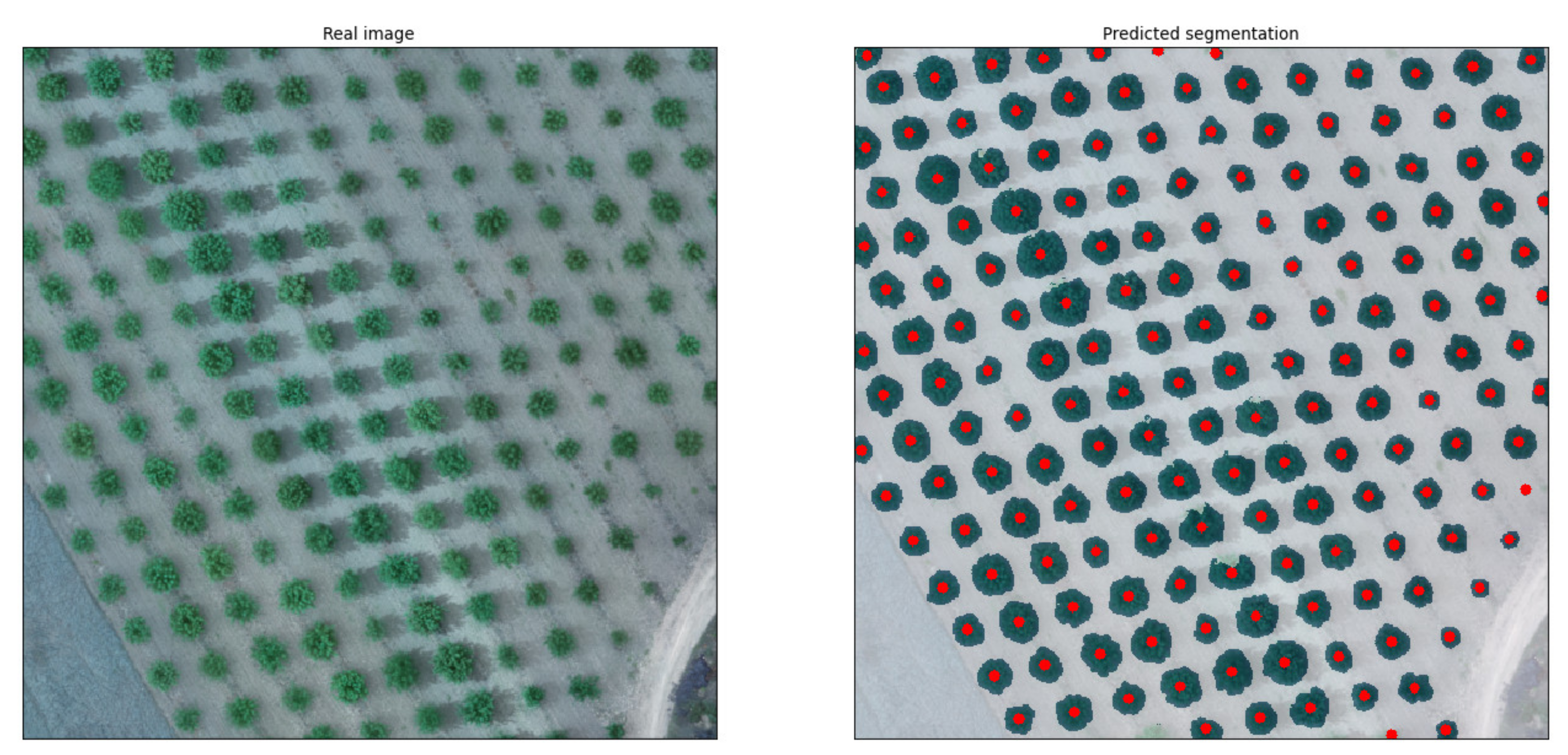 Sensors 21 03813 g008