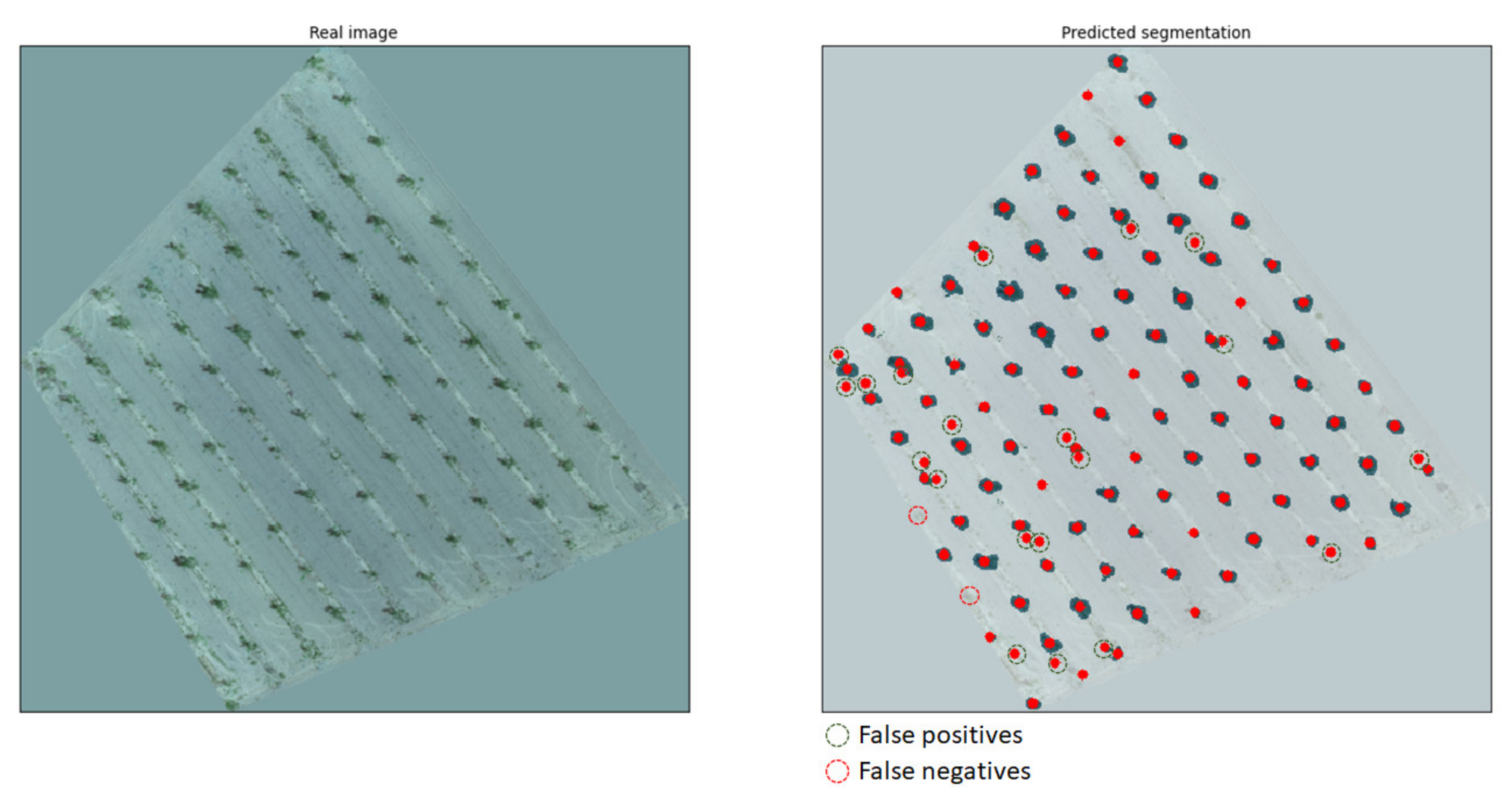 Sensors 21 03813 g011