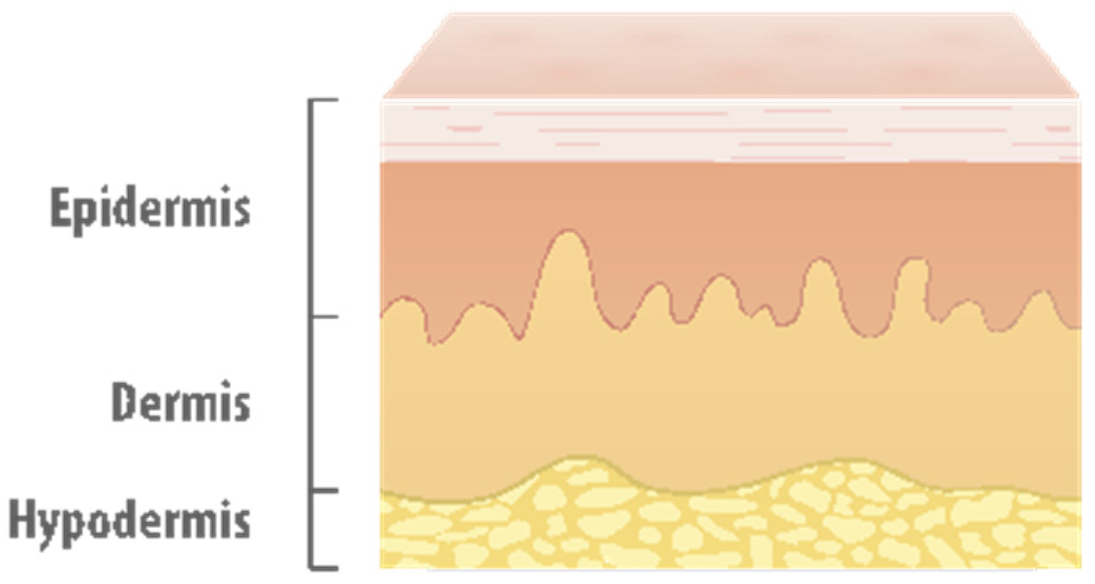 Sensors 21 03816 g002