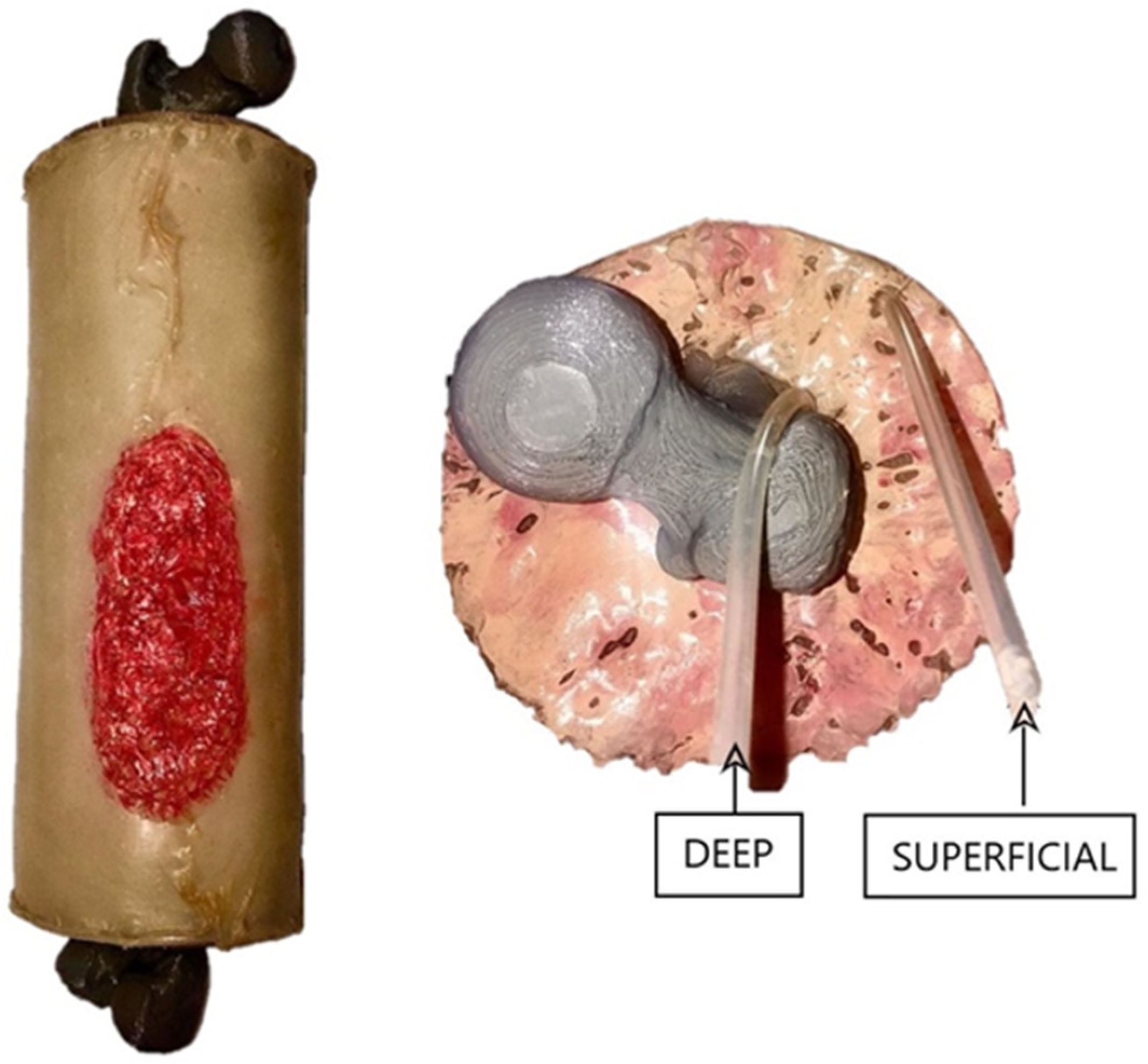 Sensors 21 03816 g003
