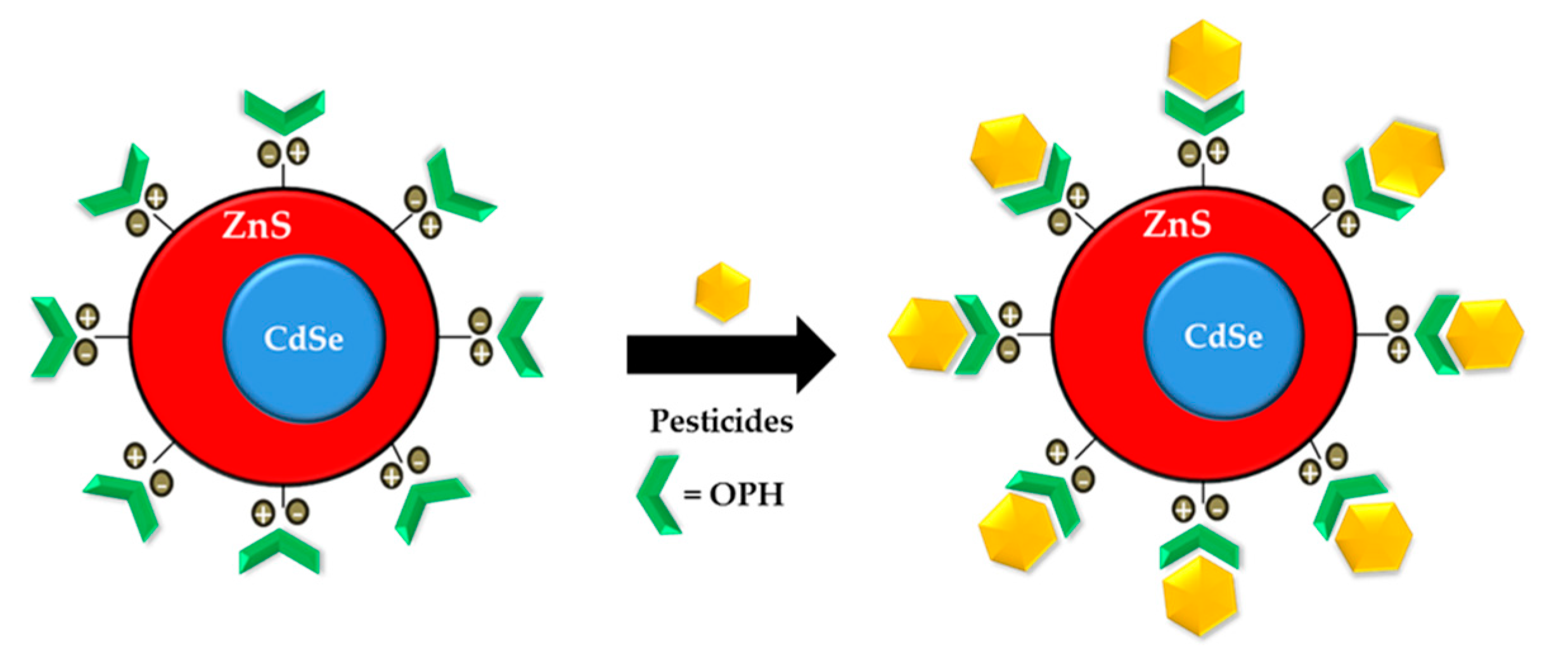 Sensors 21 03856 g004 Sensors 21 03856 g004