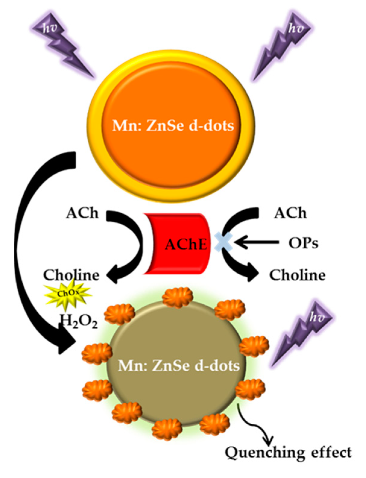 Sensors 21 03856 g005 Sensors 21 03856 g005