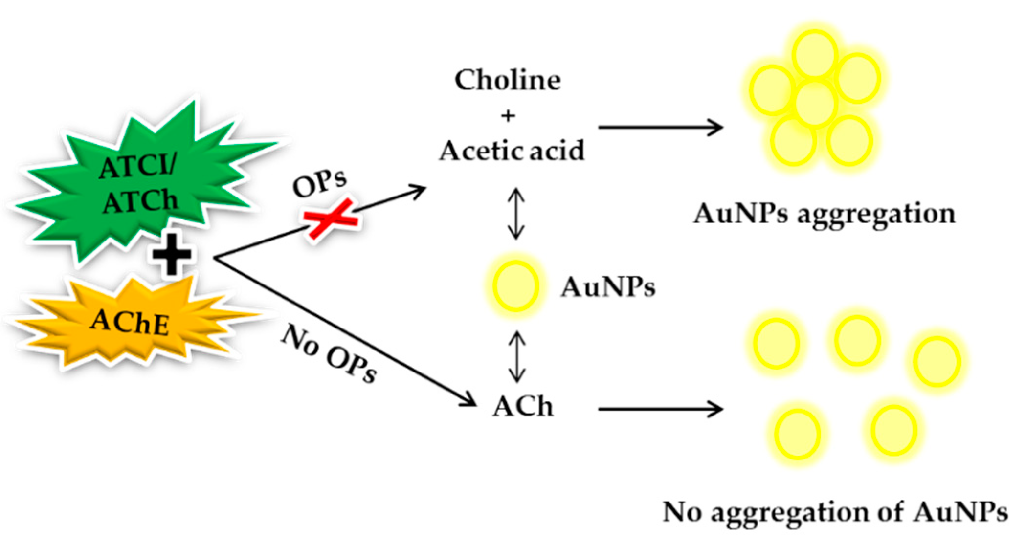 Sensors 21 03856 g006 Sensors 21 03856 g006